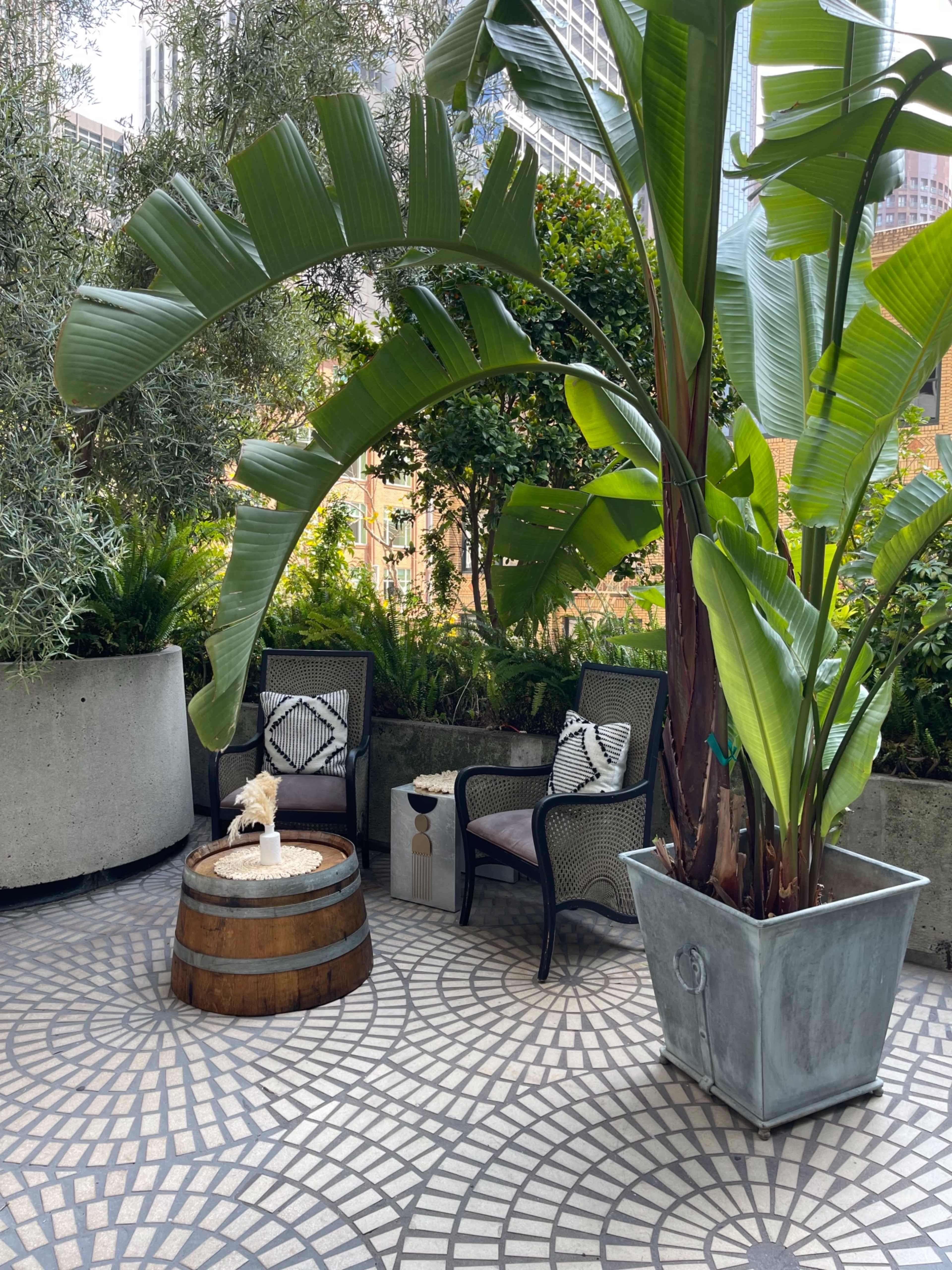 A seating area is set up on a patterned floor, featuring two chairs beside a wooden barrel and a large potted plant.