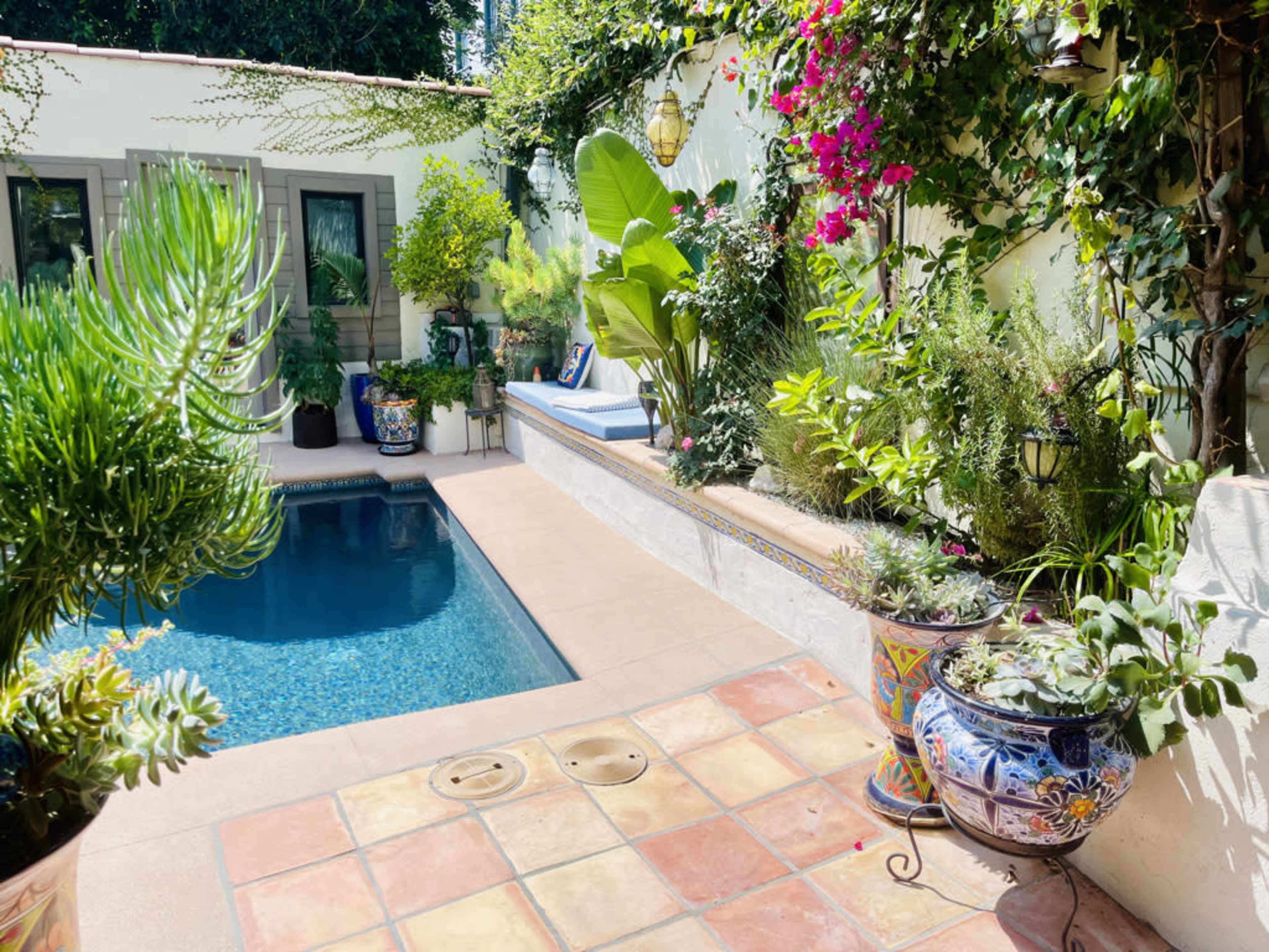 The image shows a tranquil outdoor space featuring a pool surrounded by various potted plants and a seating area with vibrant tiles.