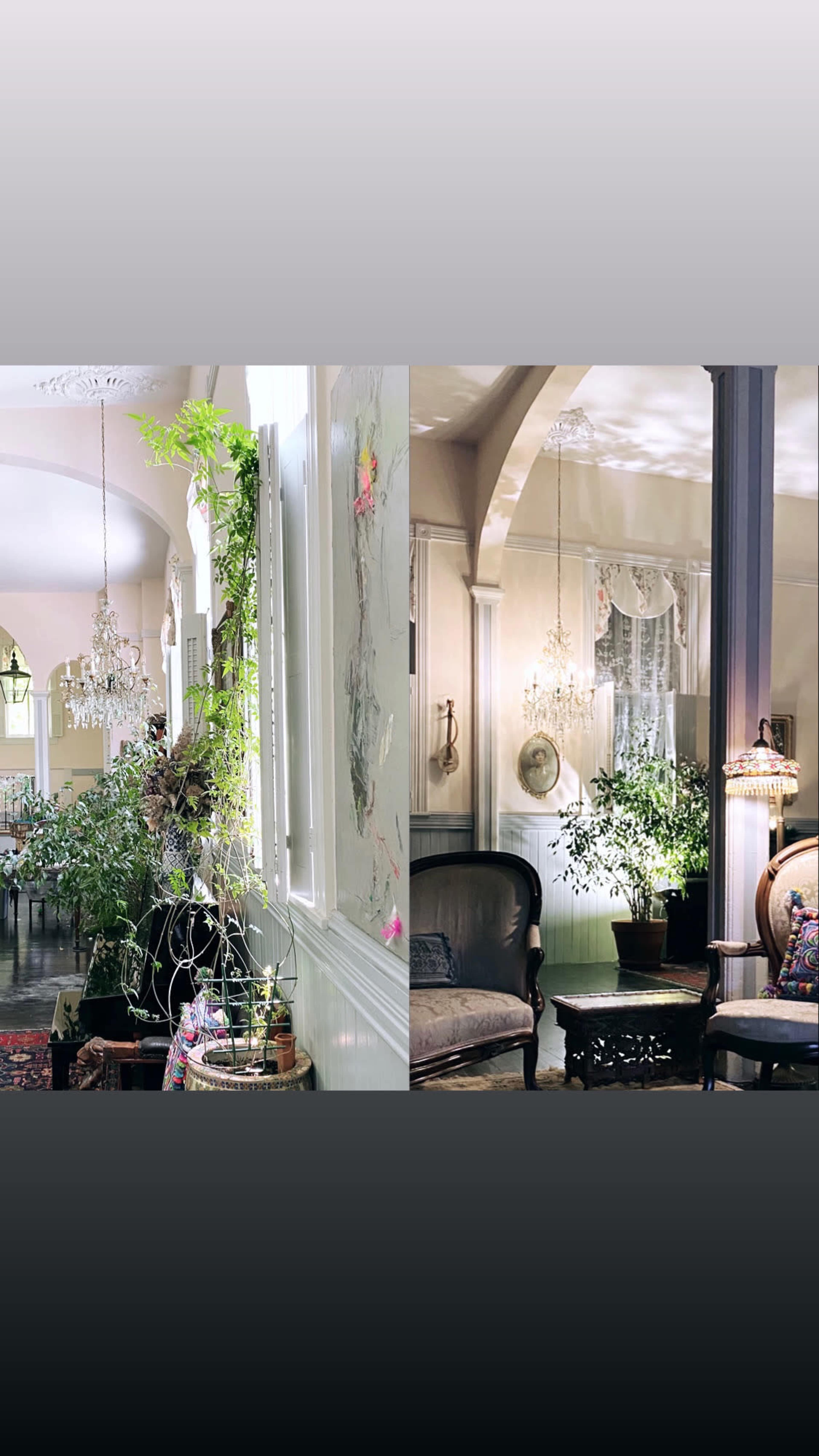 A bright, elegantly decorated living space with plants, chandeliers, and vintage furniture.