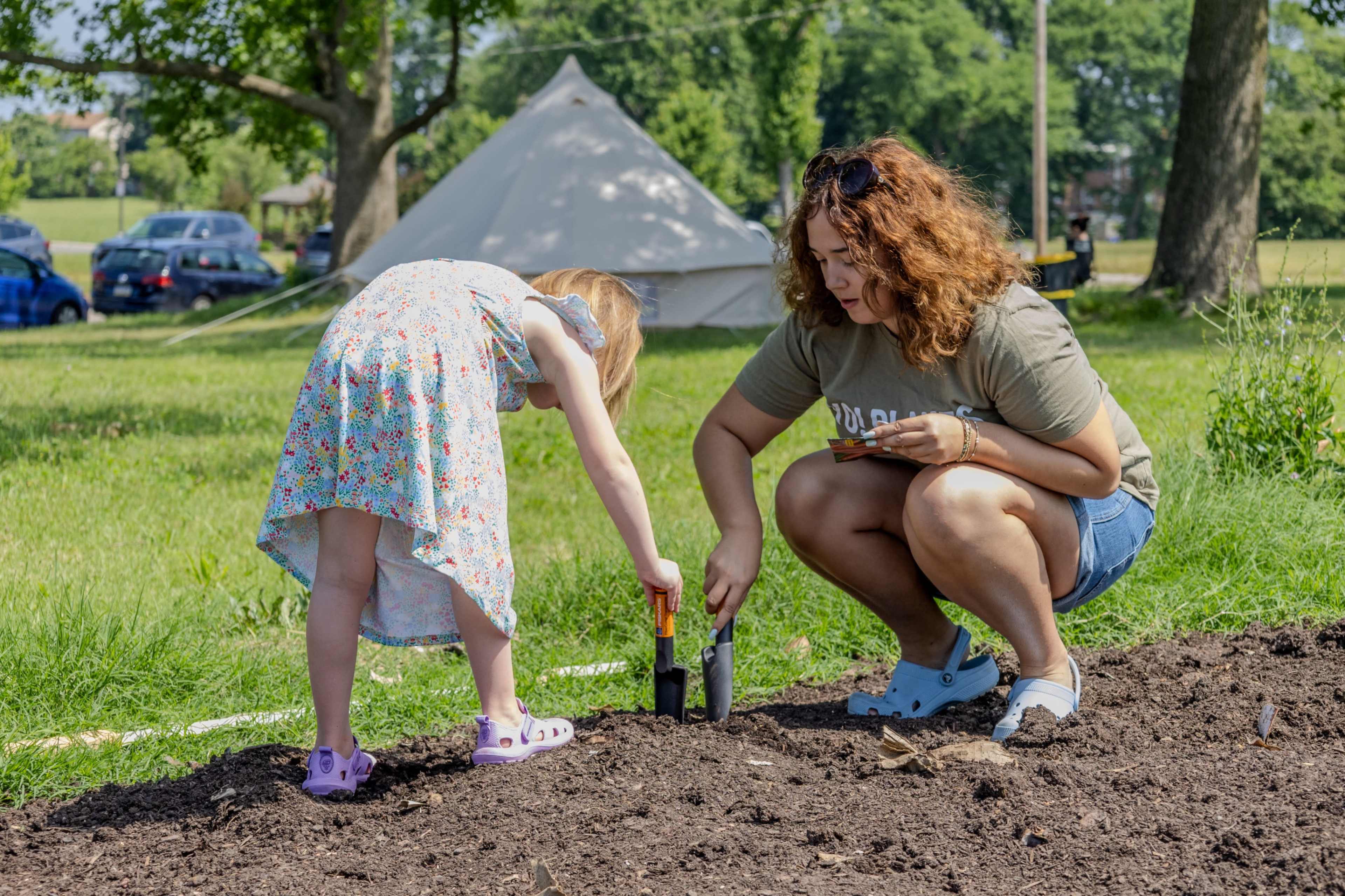 Sunflower Field in Northeast Philadelphia Image in Northeast Philadelphia, Philadelphia, PA