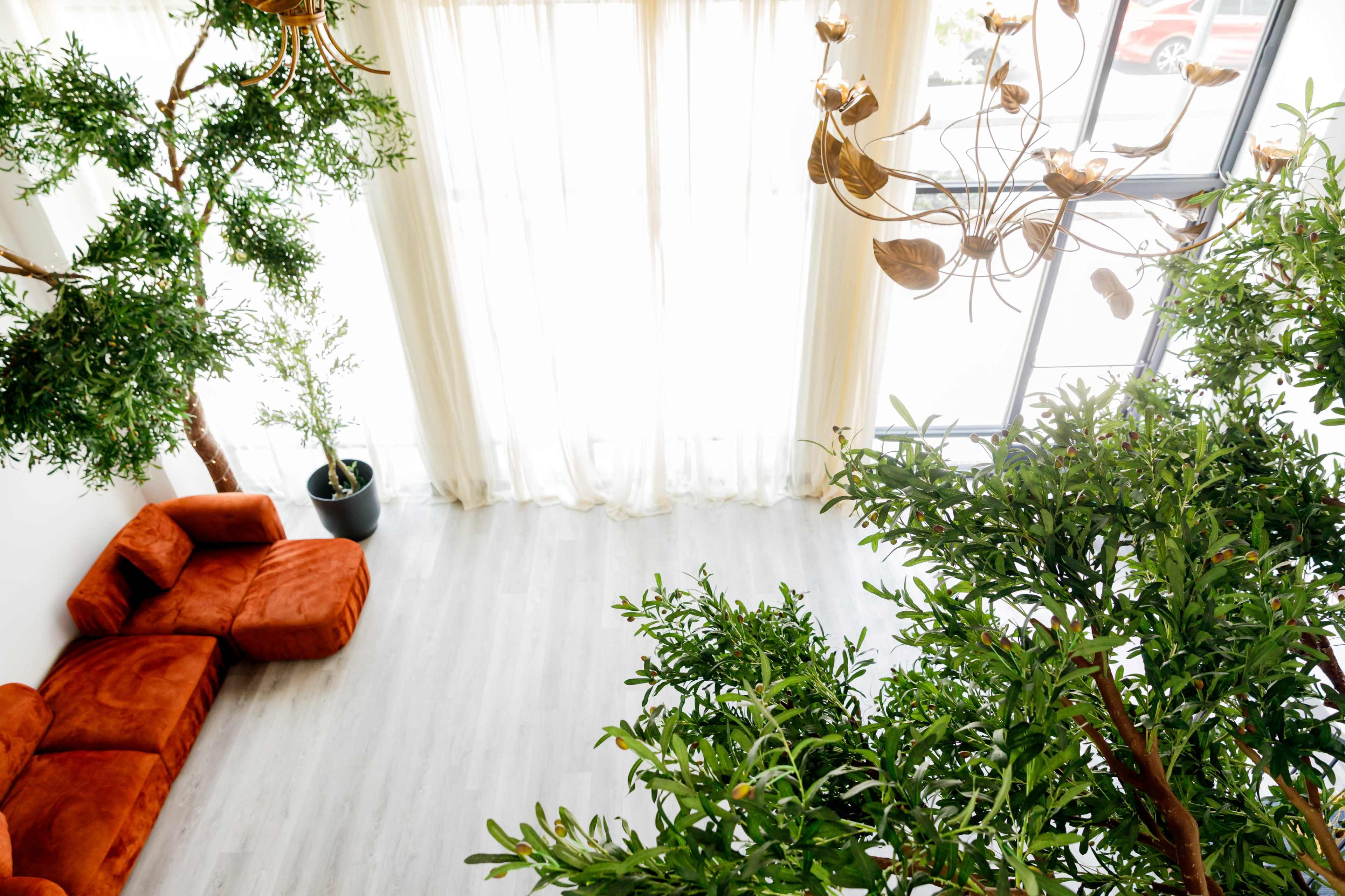 The image shows a spacious room with large windows, a cluster of green trees, and a brown sofa arranged along one wall.