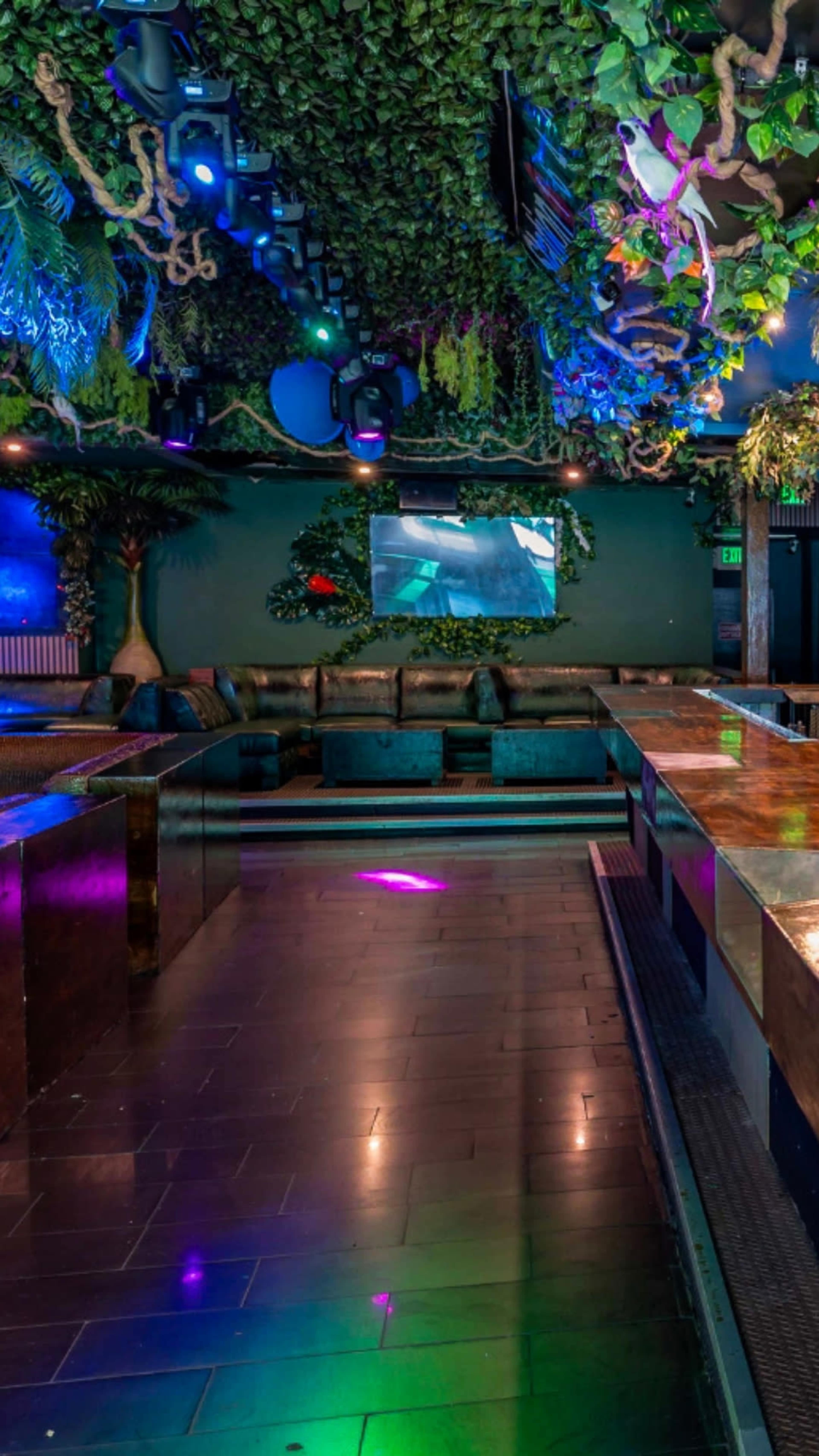 The image shows a dimly lit lounge with a bar area, surrounded by green foliage and colorful lighting, featuring a large screen on the wall.