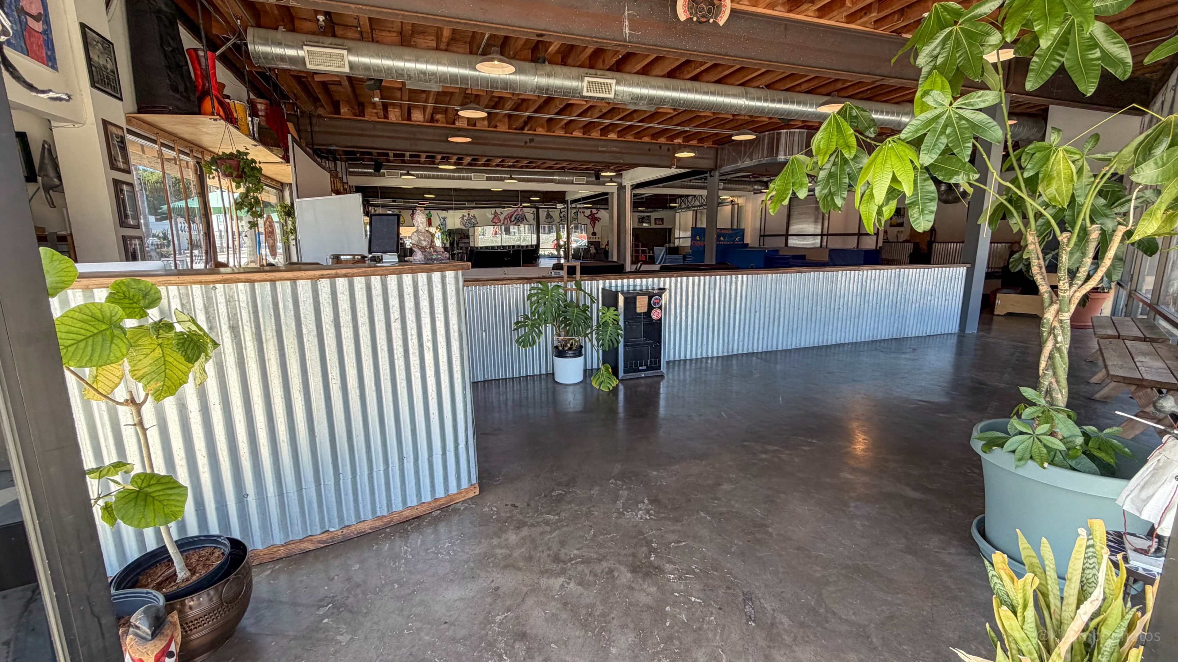 The image shows an interior space with a reception area featuring a corrugated metal counter, surrounded by plants and an open layout with exposed wooden beams and concrete floors.