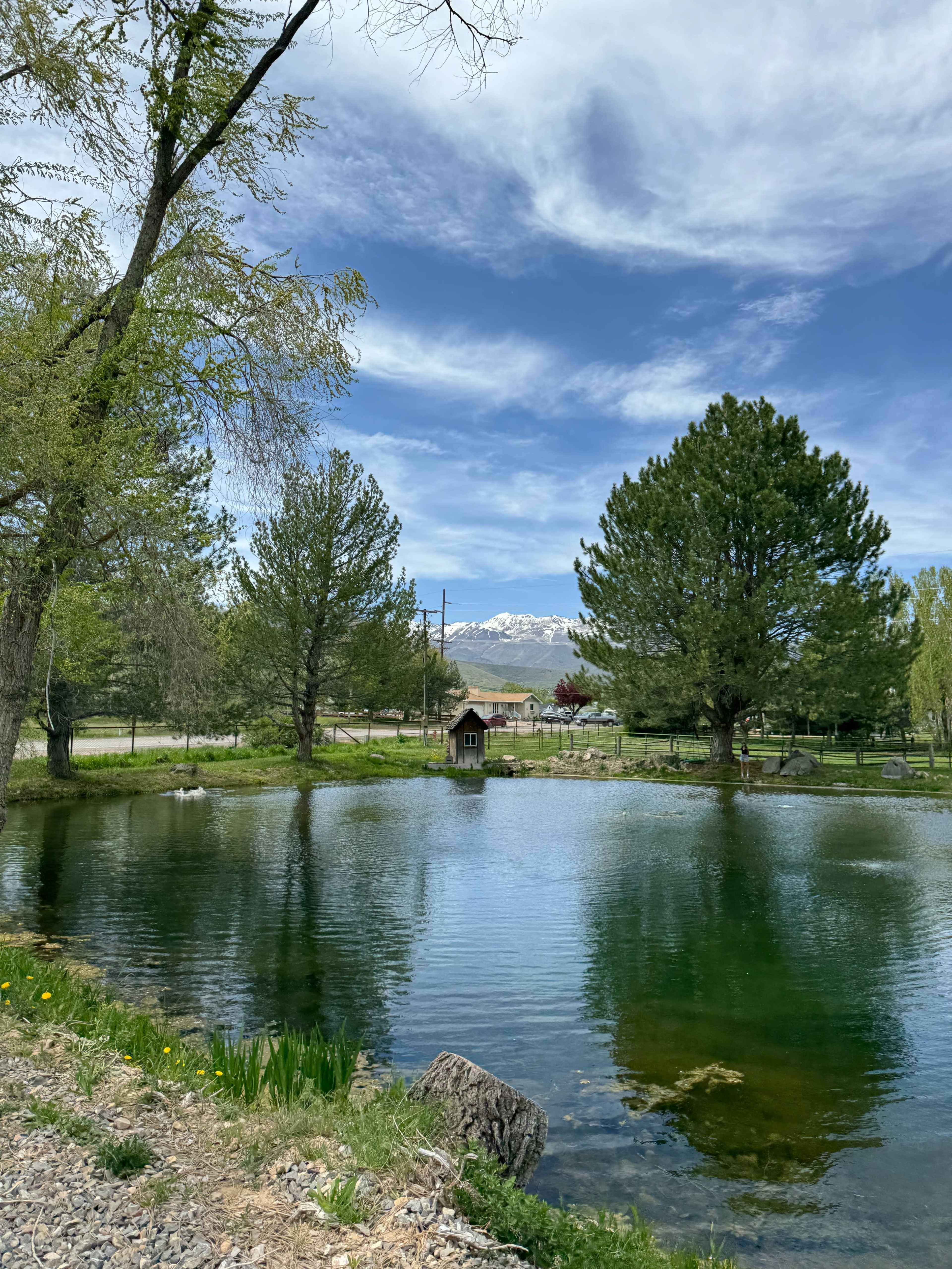 Midway Farm with Scenic Pastures, Pond, and Barn Image in , Midway, UT