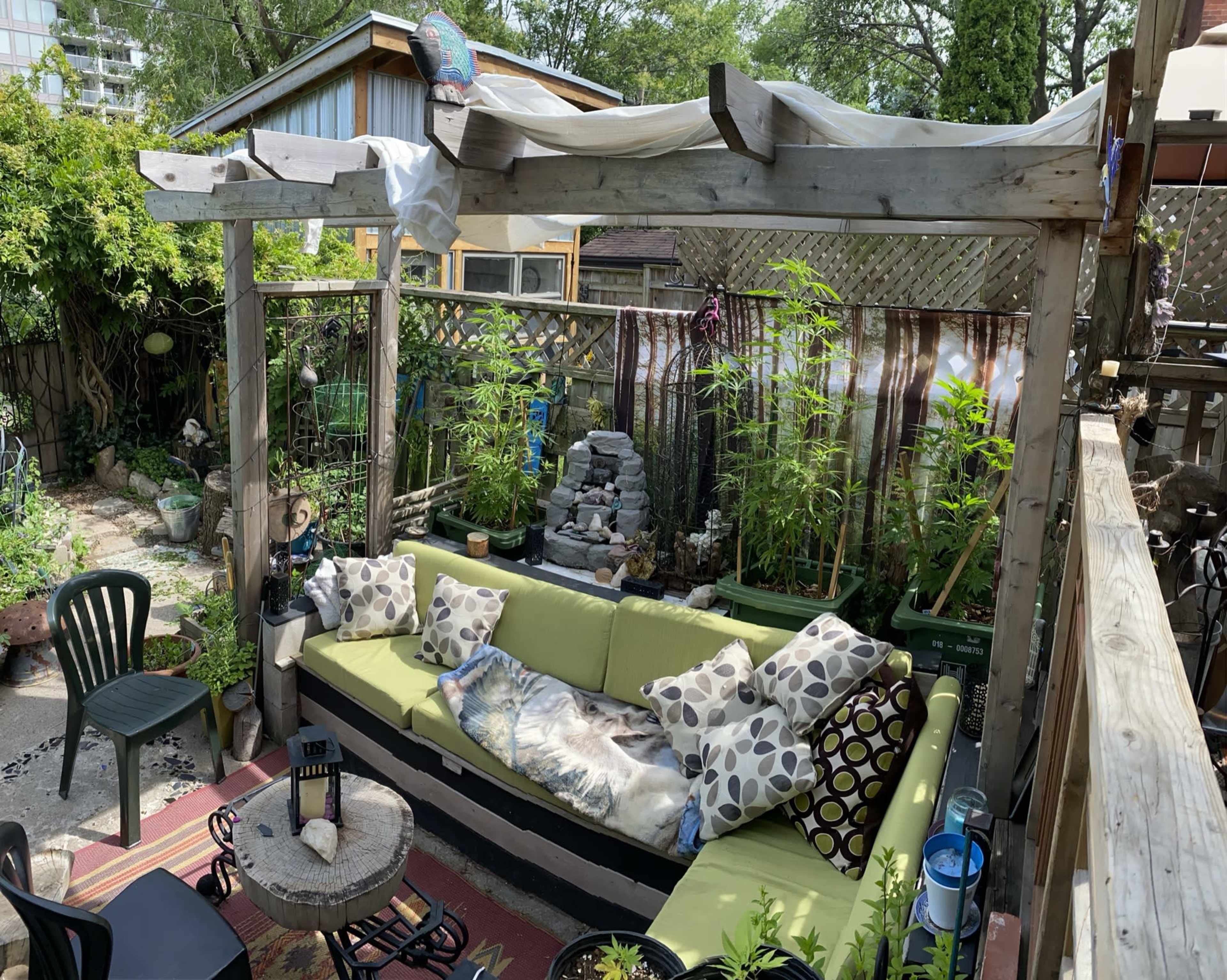 A cozy outdoor seating area surrounded by various plants, featuring a large green couch adorned with patterned cushions under a wooden pergola.