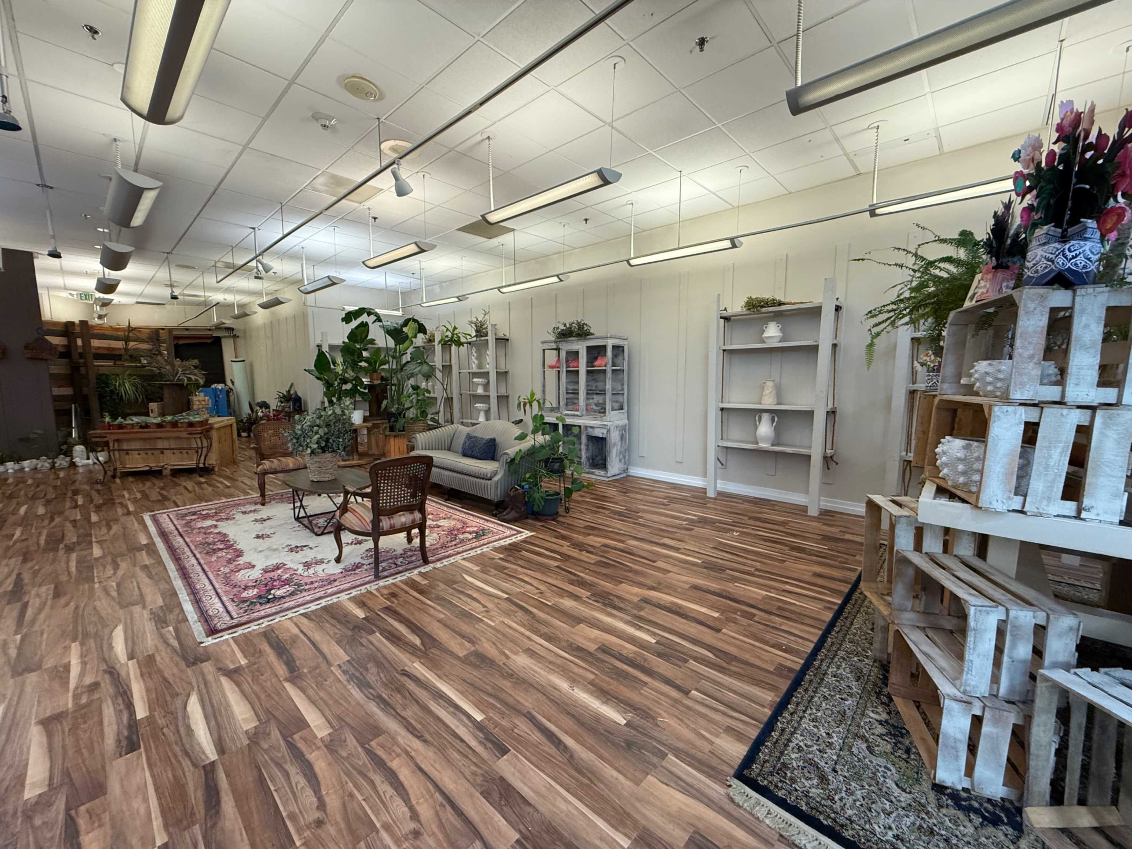 The image shows a spacious, well-lit room with wooden floors, featuring plants, shelves displaying items, a couch, and a central seating area with a decorative rug.