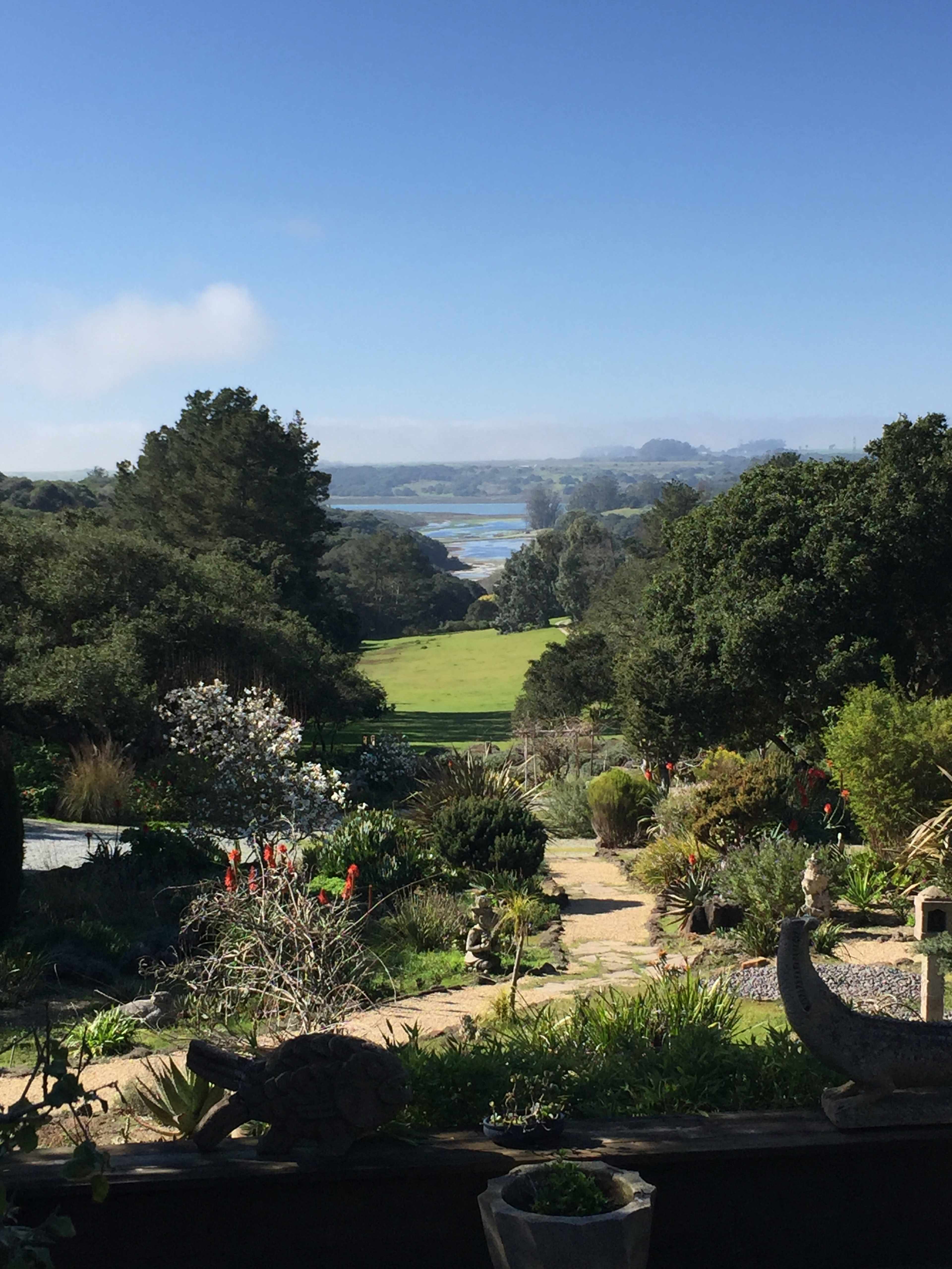 A lush garden with various plants and flowers, leading to a scenic view of a river and hills in the background under a clear blue sky.