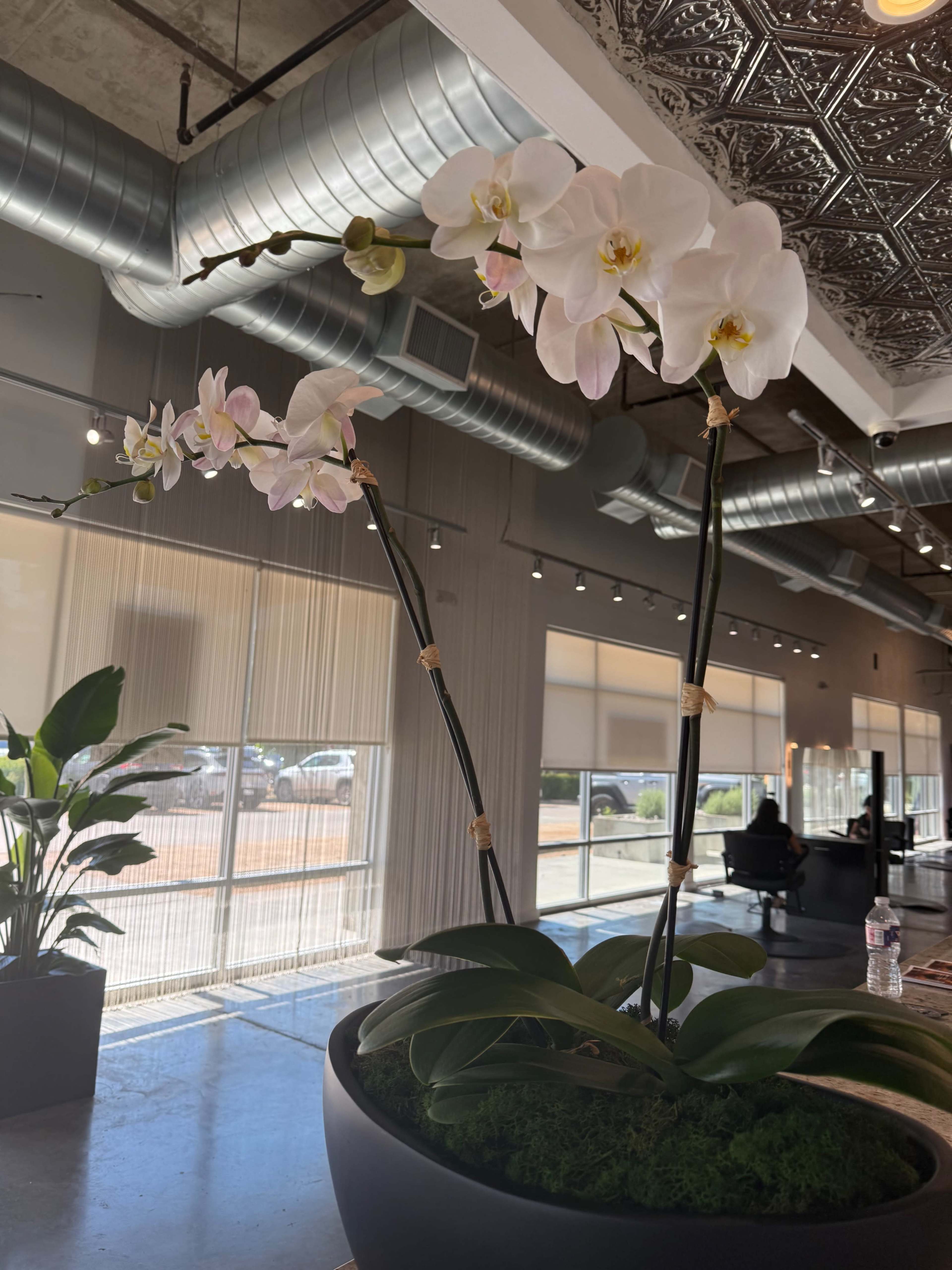 Multi-Use Beauty Salon for Events & Education Image in West Dallas, Dallas, TX