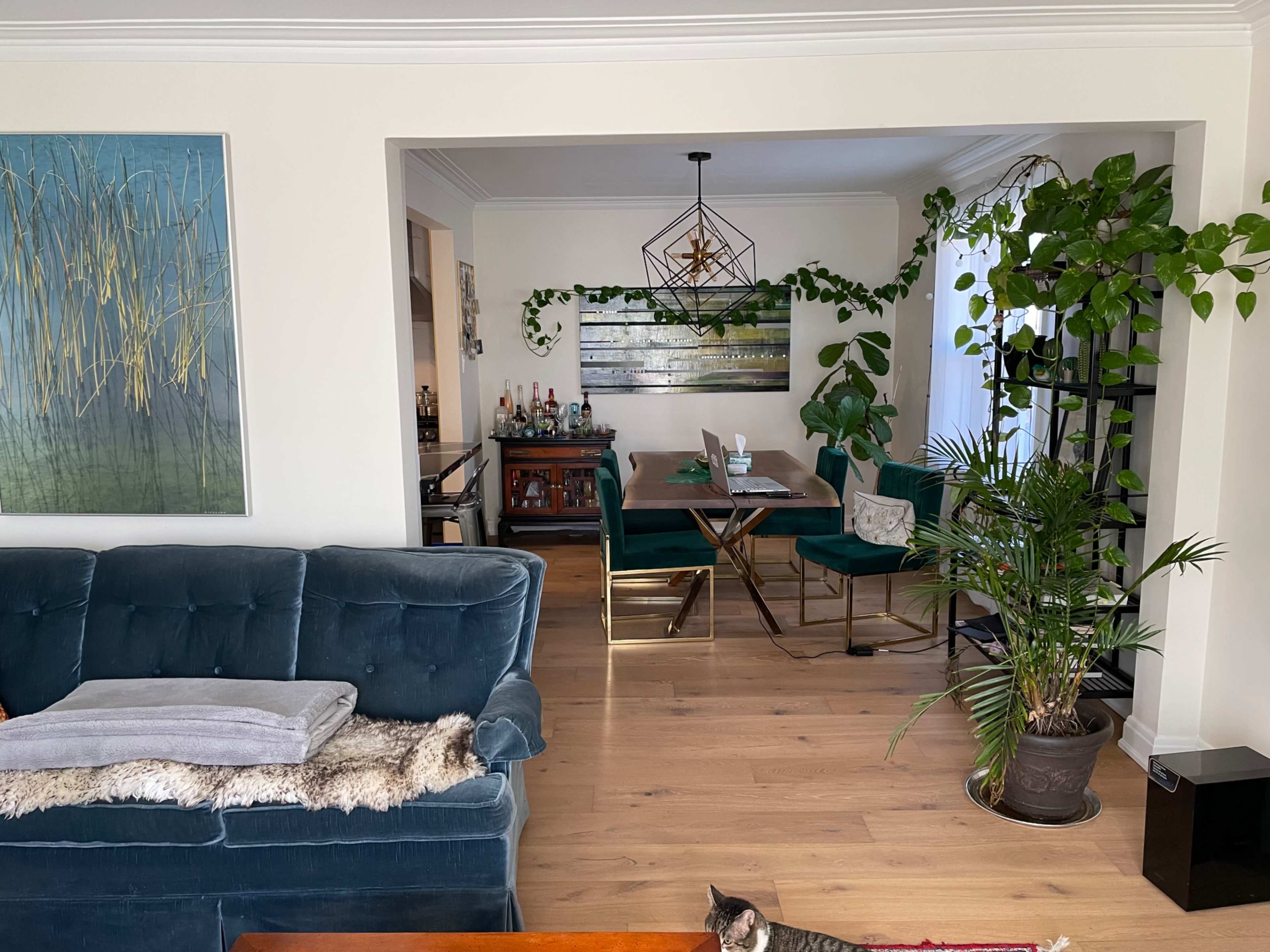 A living area with a blue sofa in the foreground and a dining area featuring a wooden table surrounded by green chairs, adorned with plants and decorative items.