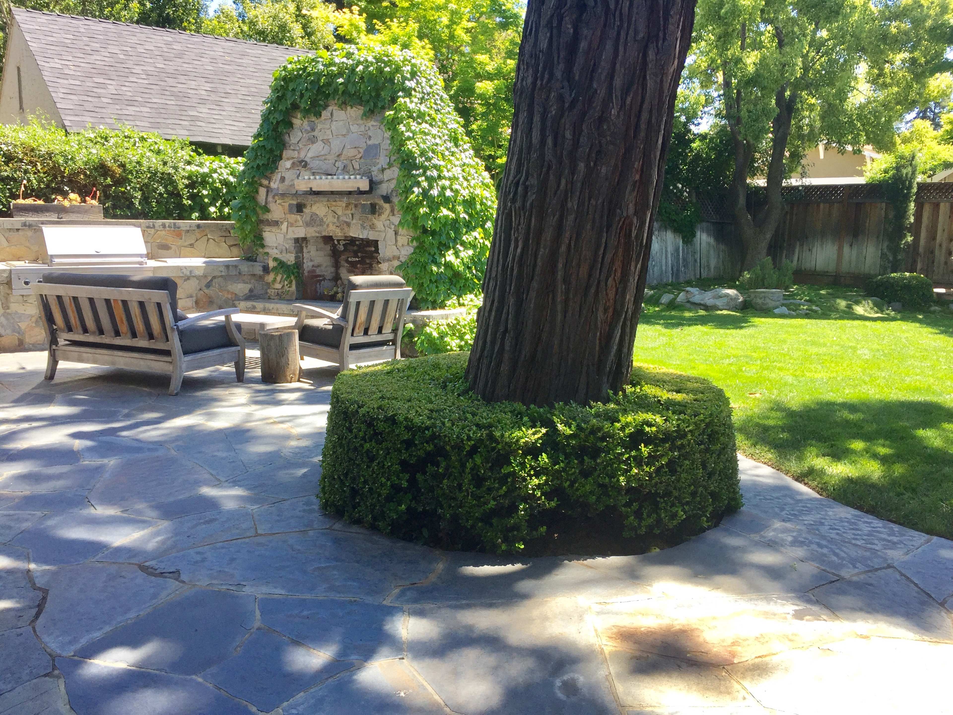 A stone patio features a large tree surrounded by a circular hedge, with seating and a stone fireplace in the background.