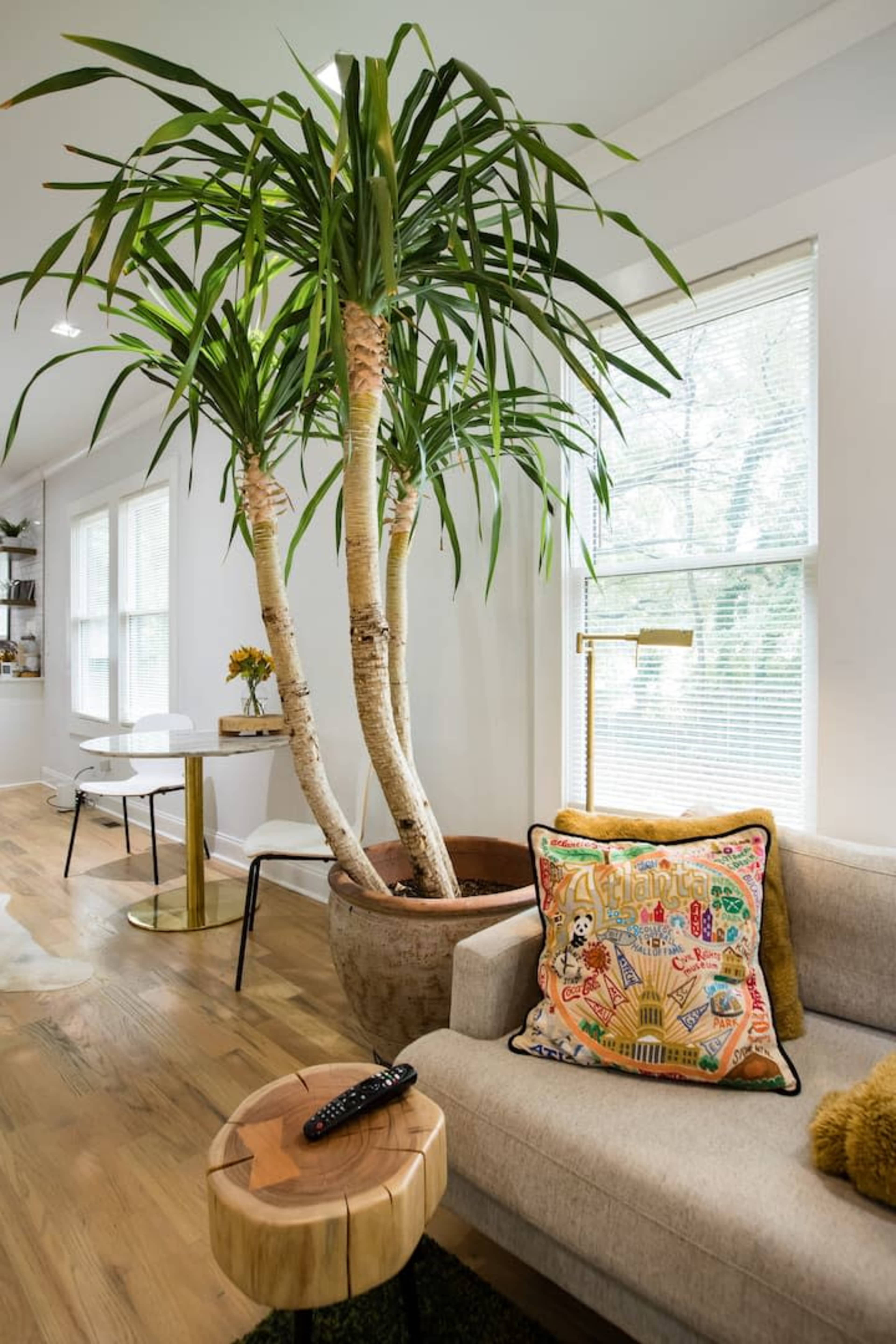 A living room with a large potted plant beside a gray sofa adorned with a decorative pillow, a coffee table made of wood, and a dining area in the background.