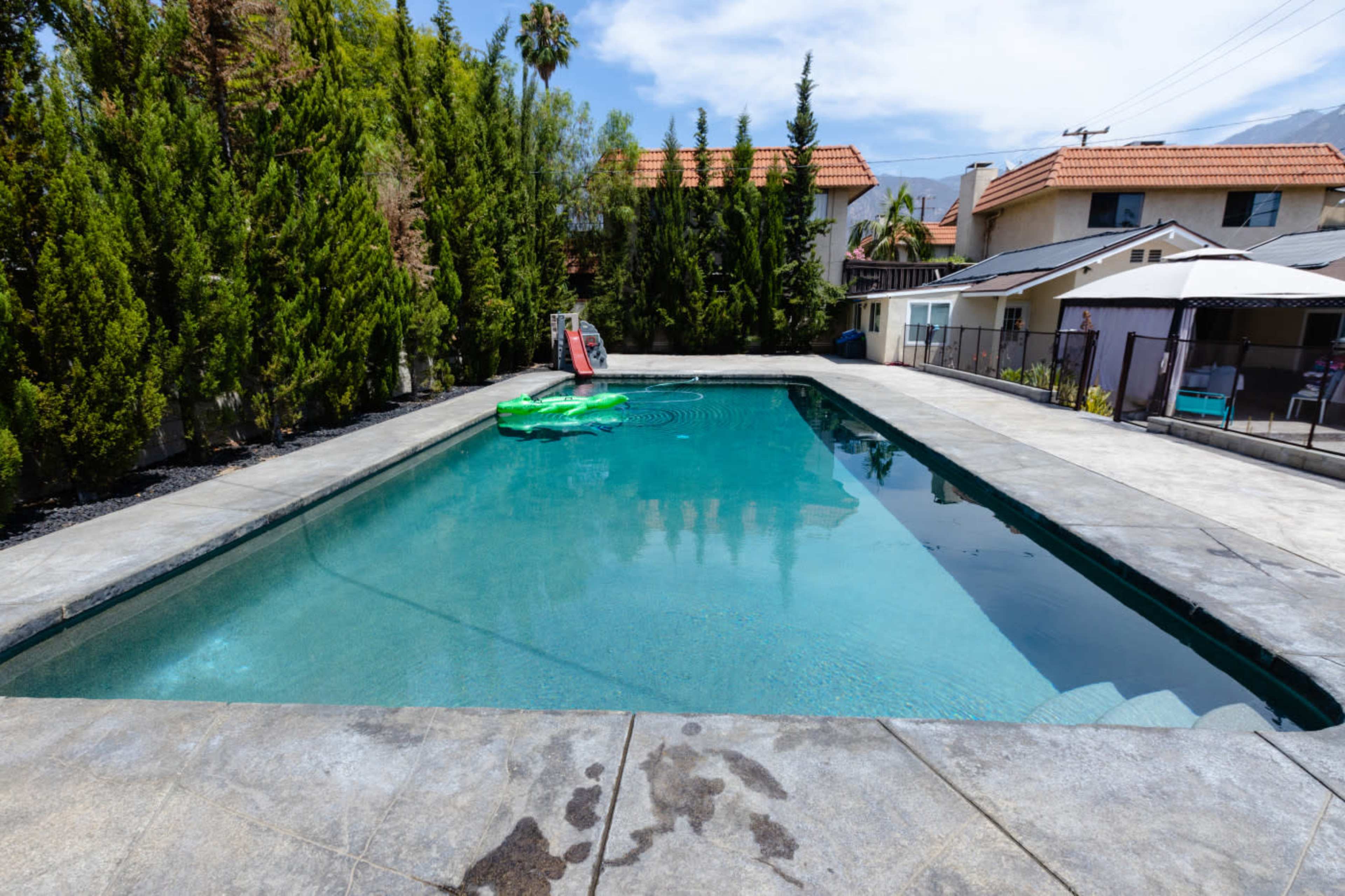 A rectangular swimming pool surrounded by tall shrubs and houses under a clear blue sky.