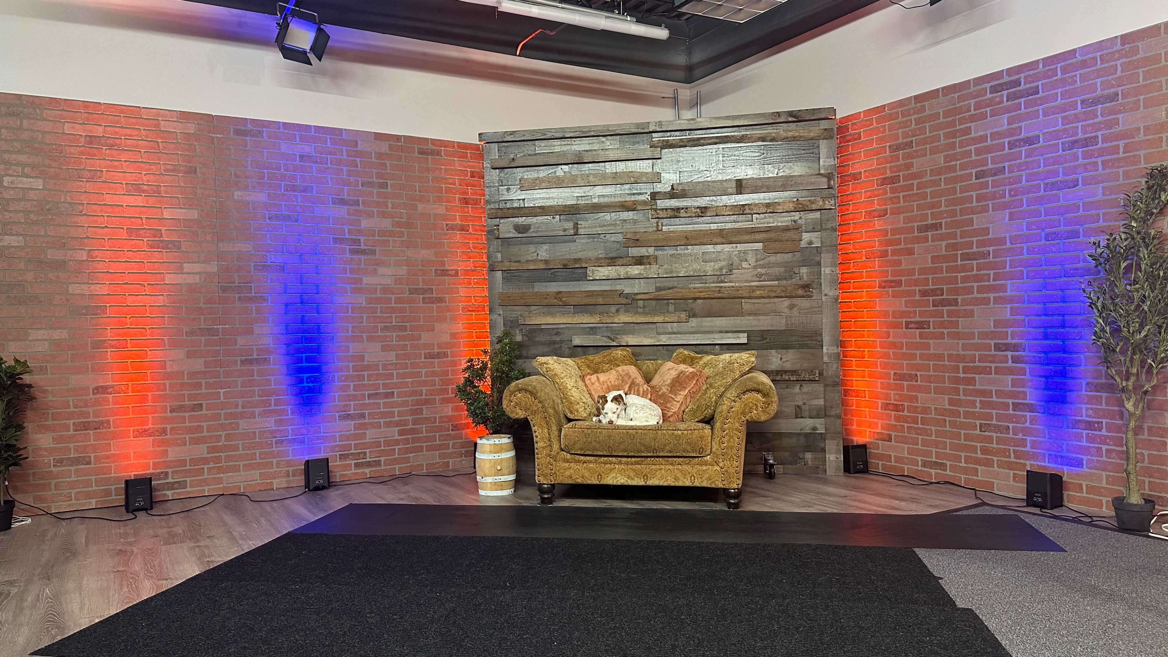 A cozy yellow couch with patterned cushions is positioned against a wooden-paneled wall in a room with red and blue illuminated accents.