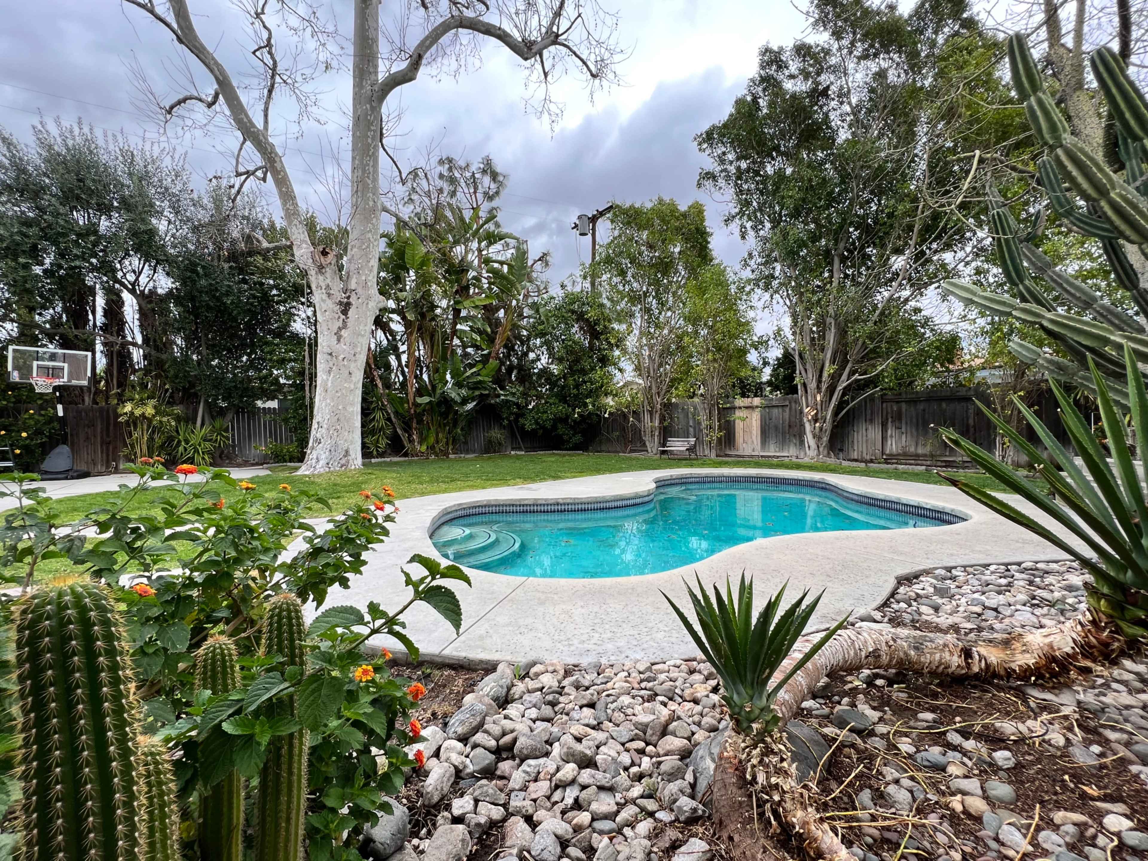 A backyard with a swimming pool surrounded by grass, shrubs, and decorative rocks, under a cloudy sky.