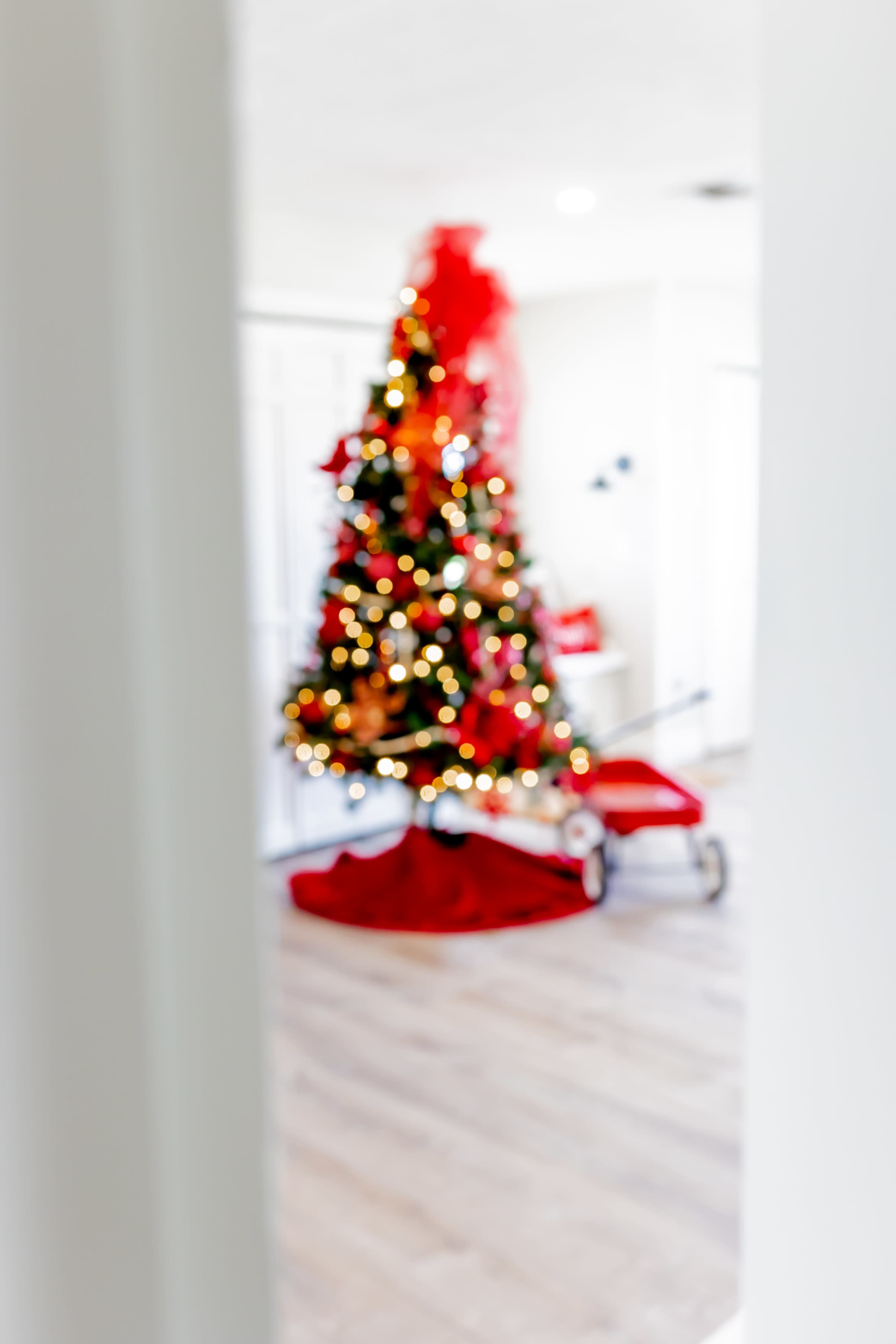 Farmhouse Christmas Photo Studio Image in , Wauchula, FL
