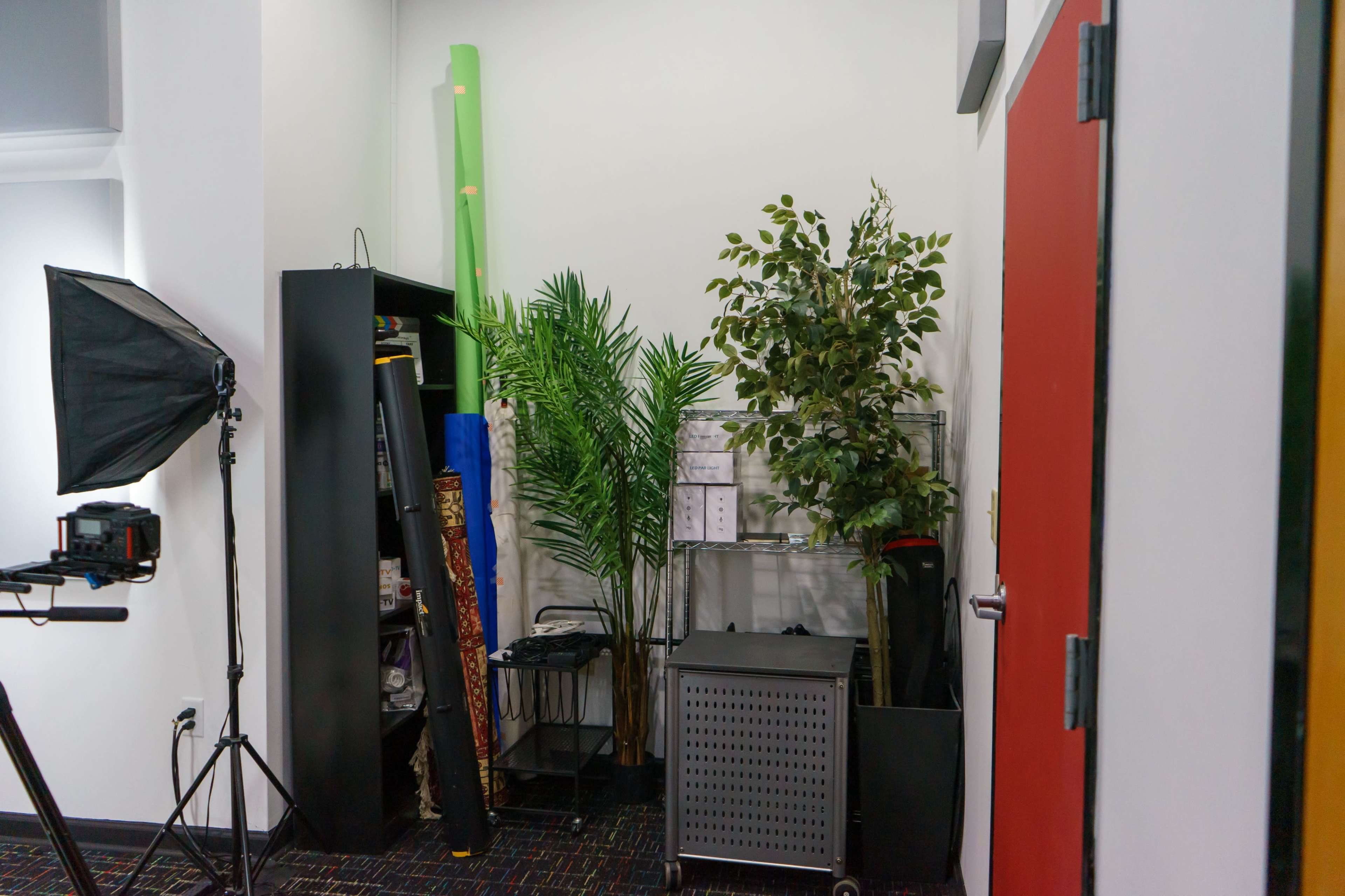 The image shows a corner of a room with artificial plants, a shelving unit, and a studio light setup.