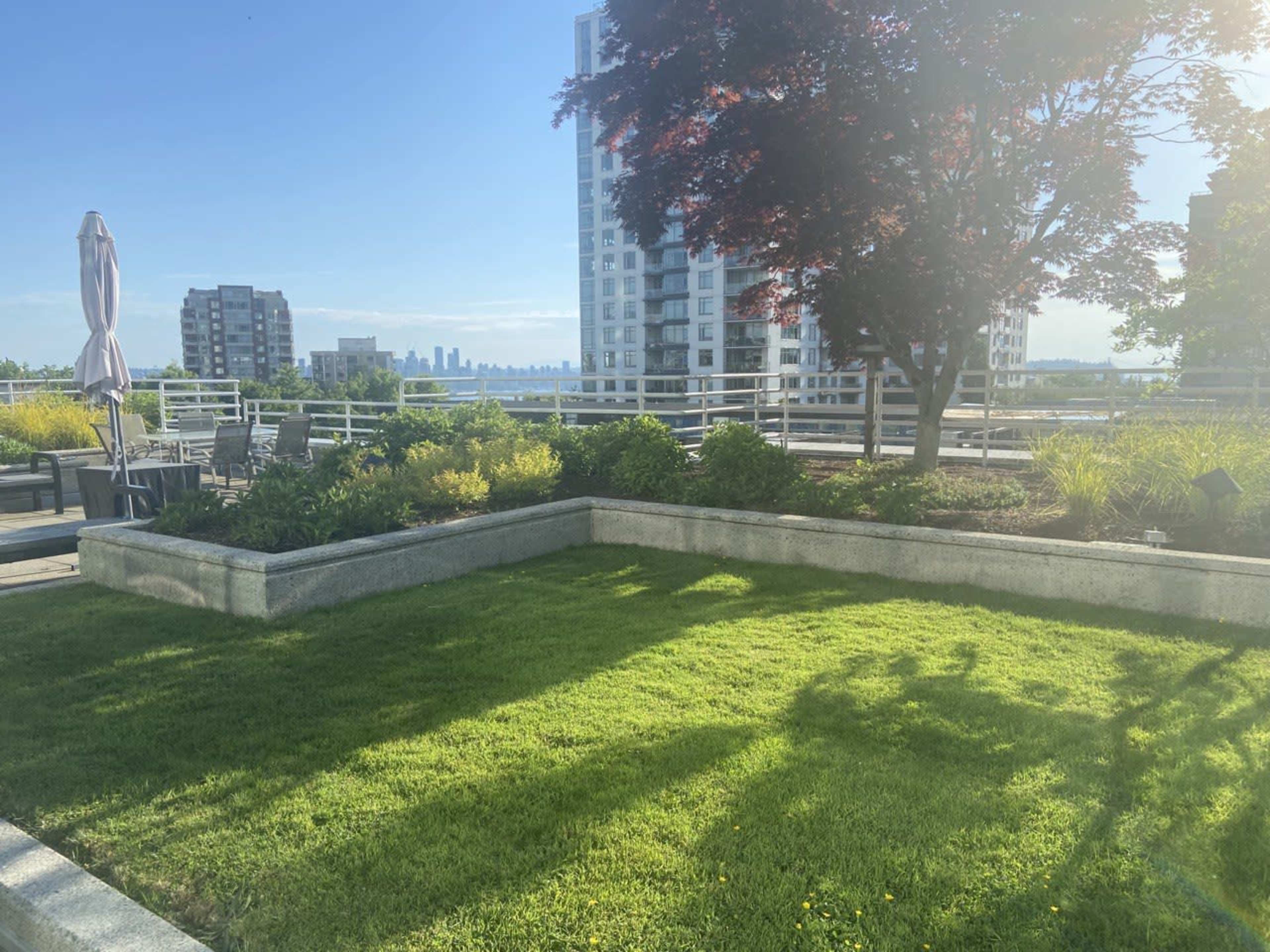 A well-maintained rooftop garden features green grass, planters, and patio furniture with a city skyline visible in the background.