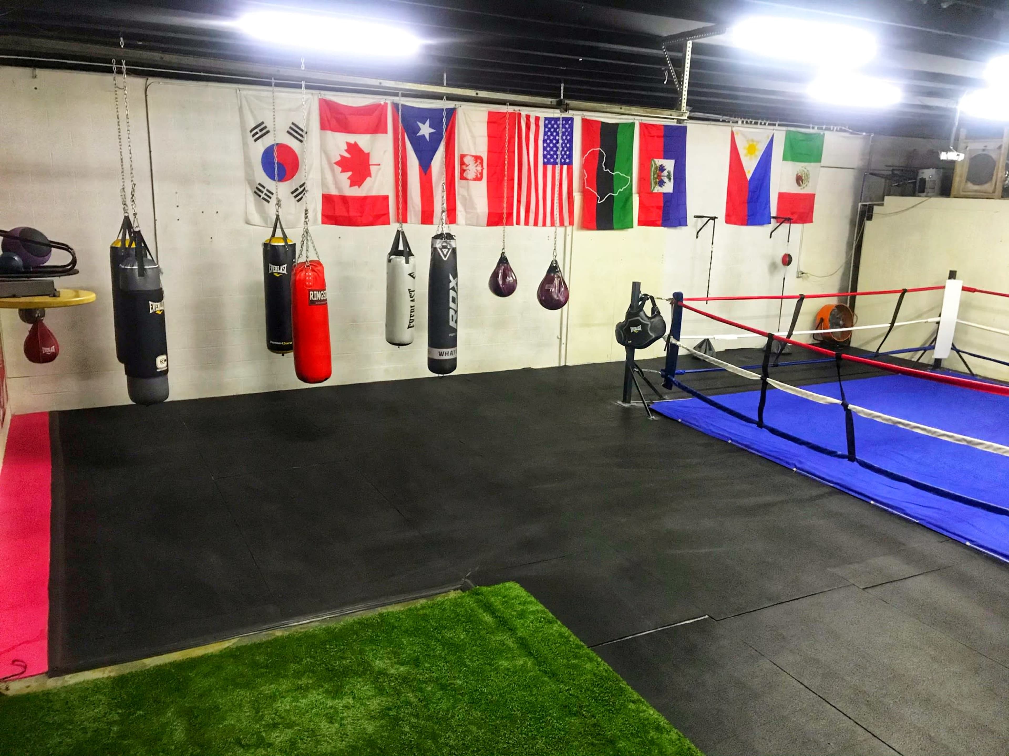 A boxing gym with hanging punching bags, a boxing ring, and several international flags displayed on the wall.