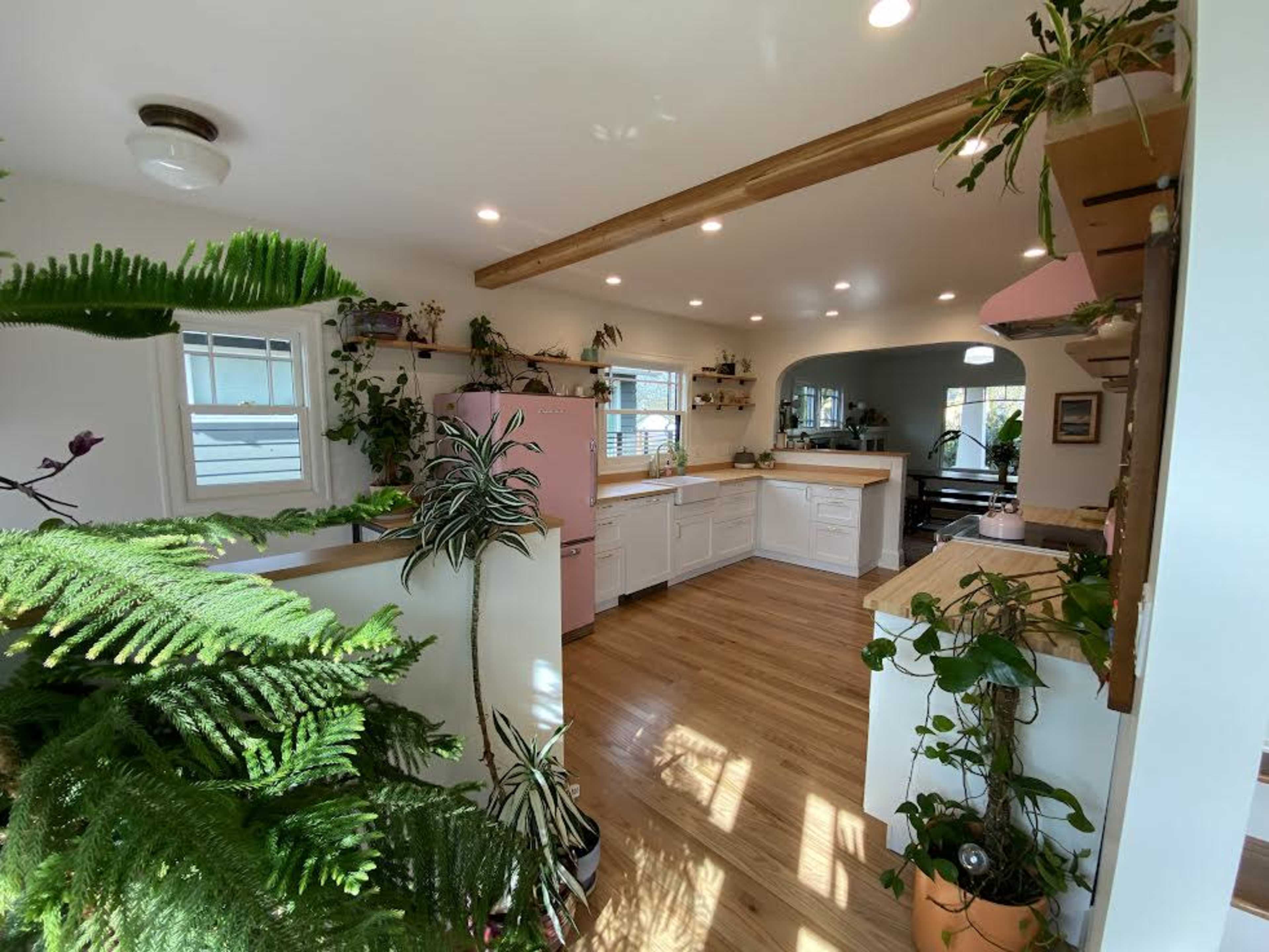 A bright kitchen features white cabinetry, a pink refrigerator, and various plants adorning the countertops and shelves.