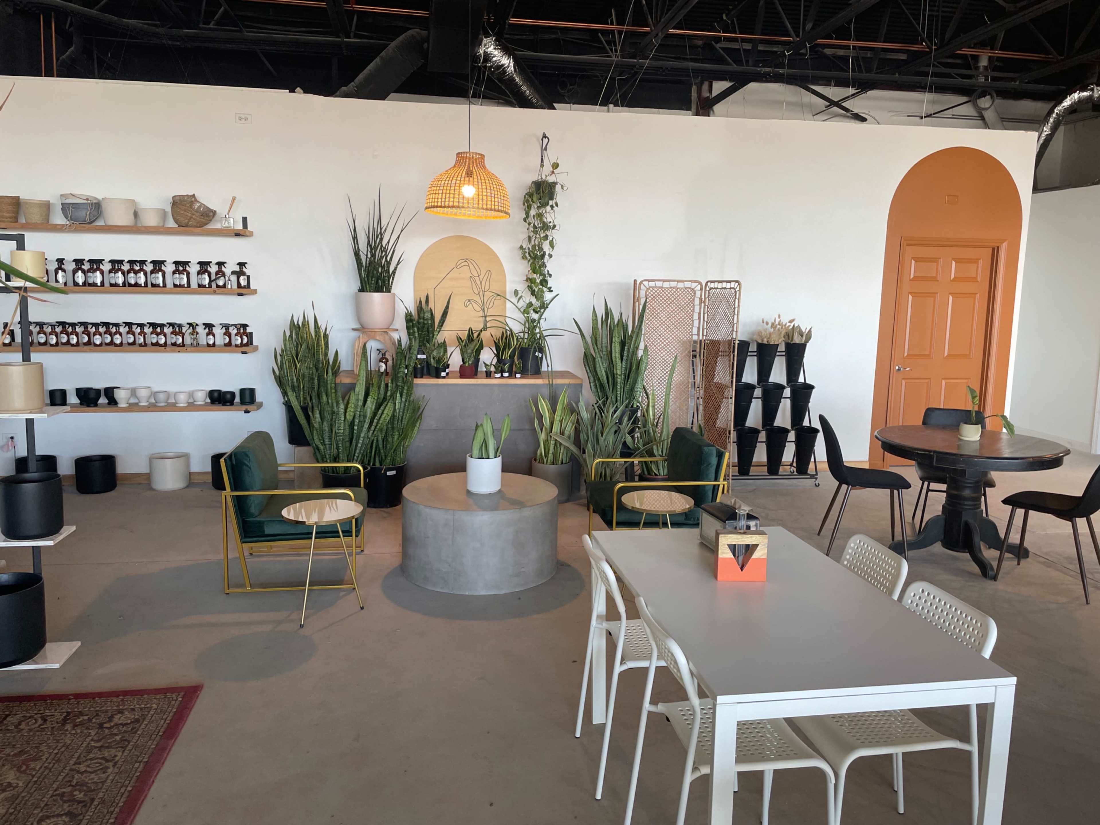A modern interior space featuring plants, a mix of seating arrangements, a round table, and decorative items on display.