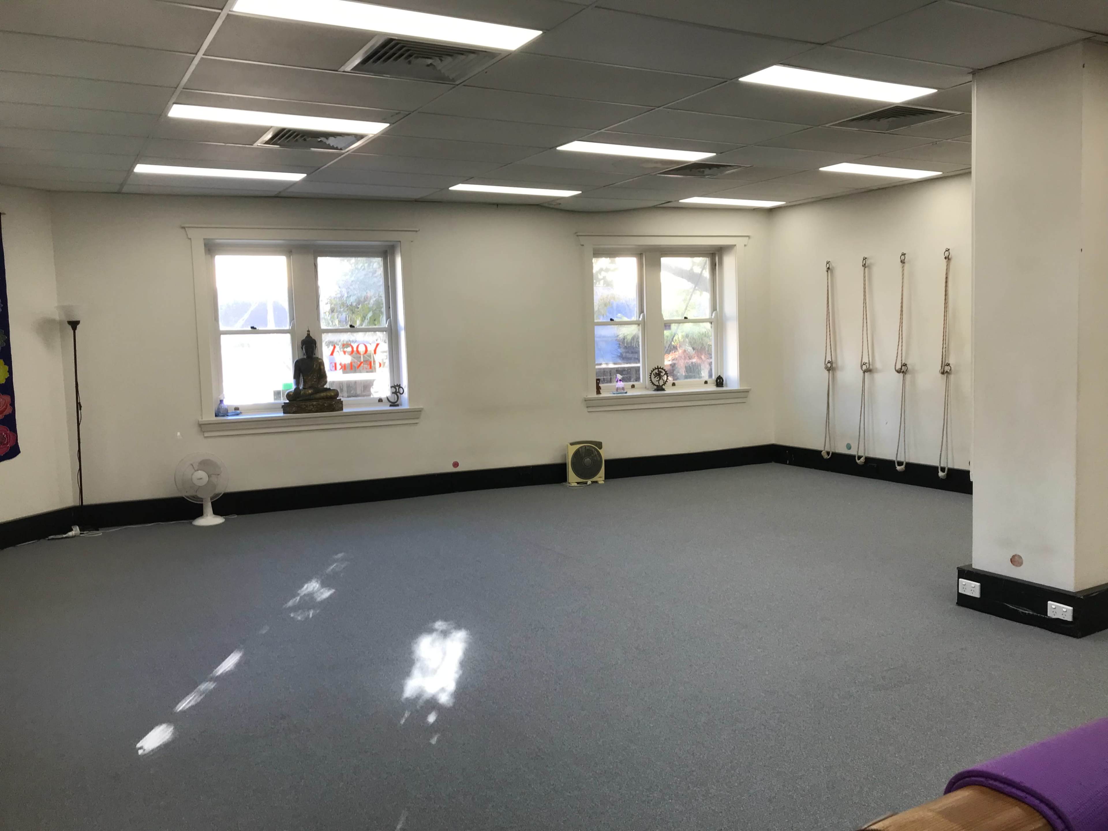 A spacious room with gray carpet, large windows, and yoga straps hanging on the wall.