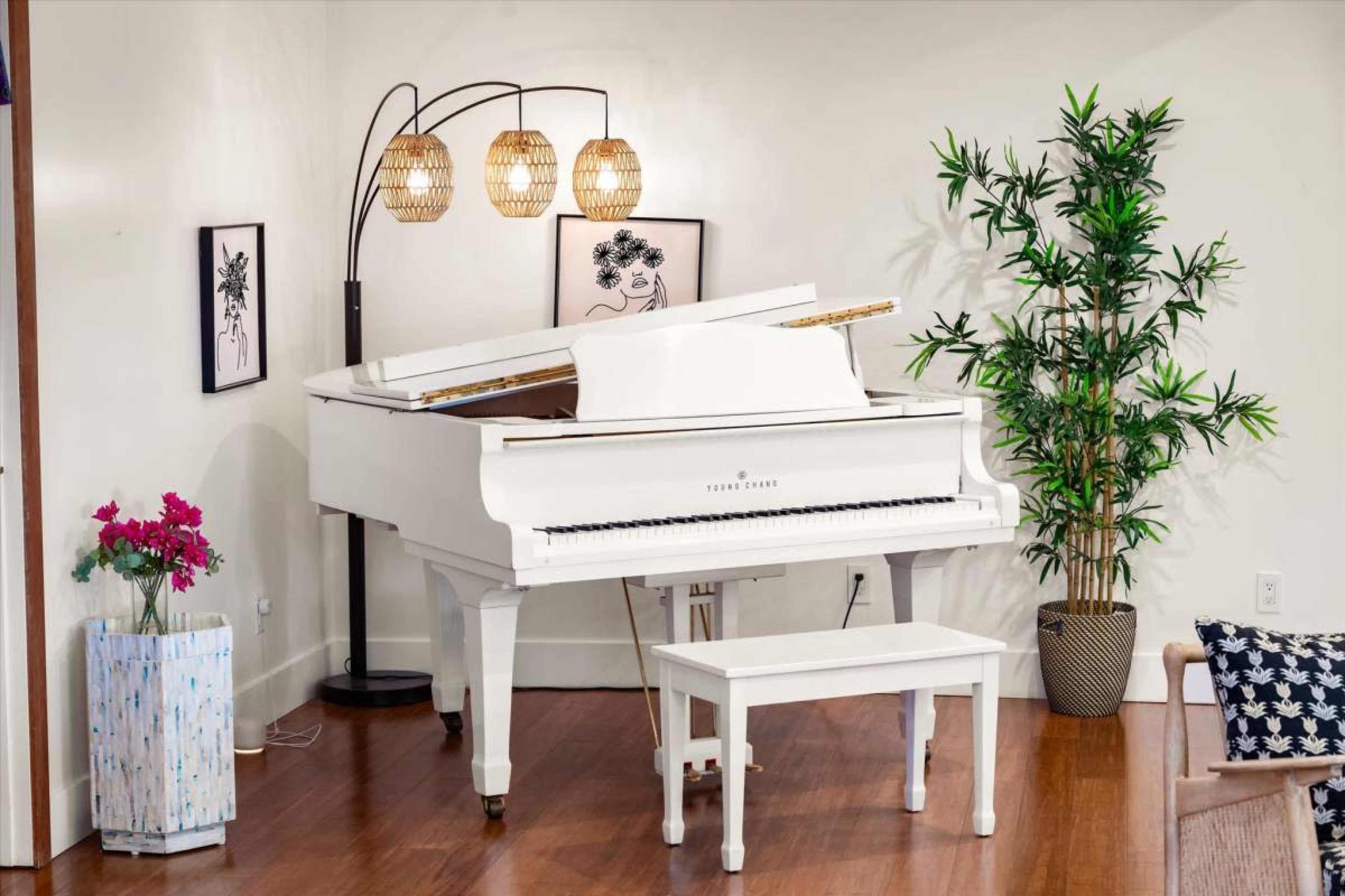 A white grand piano is positioned in a well-lit room, accompanied by a bench, decorative plants, and hanging light fixtures.