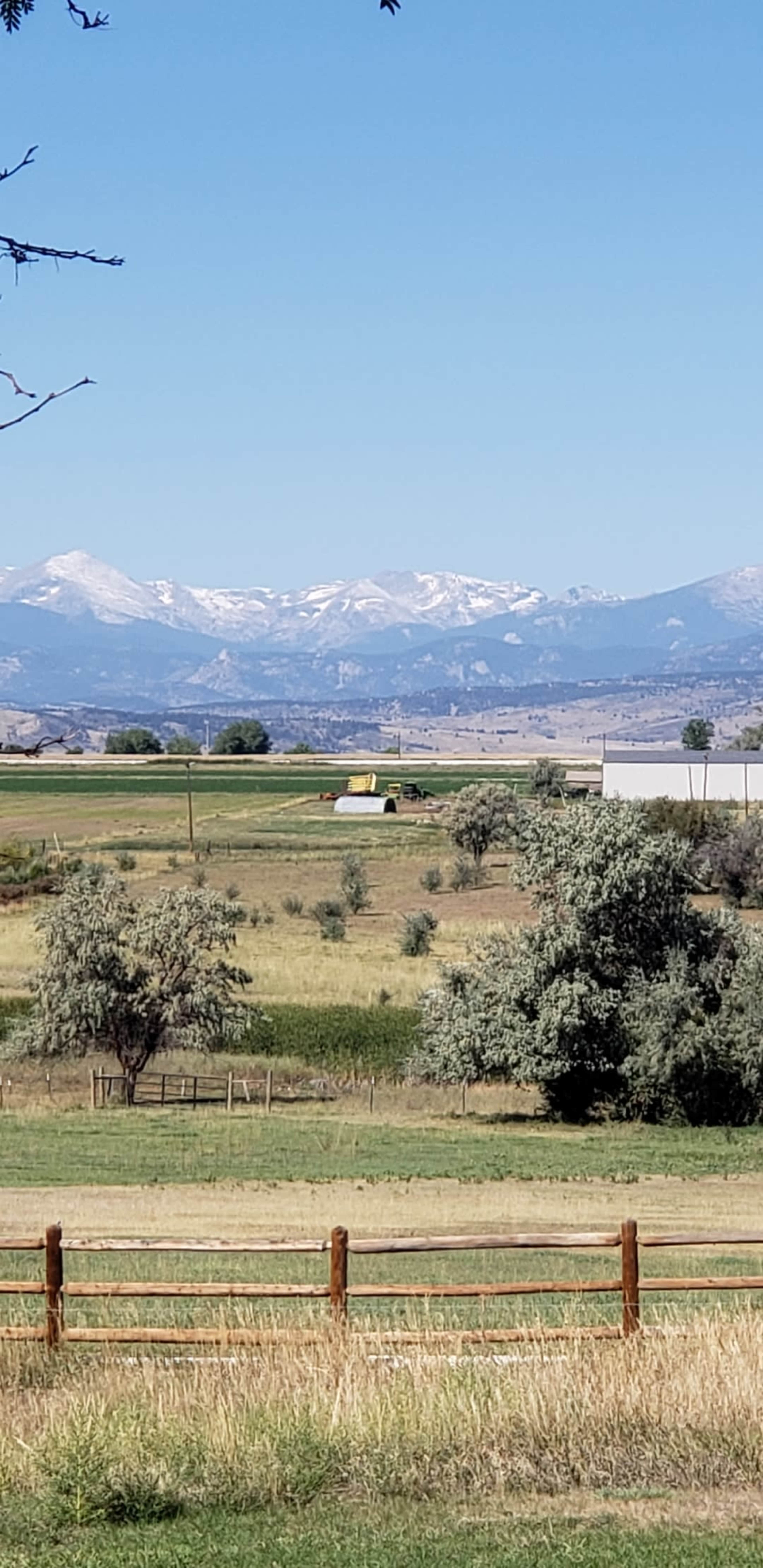 The image shows a rural landscape with green fields, scattered trees, and a backdrop of snow-capped mountains under a clear blue sky.