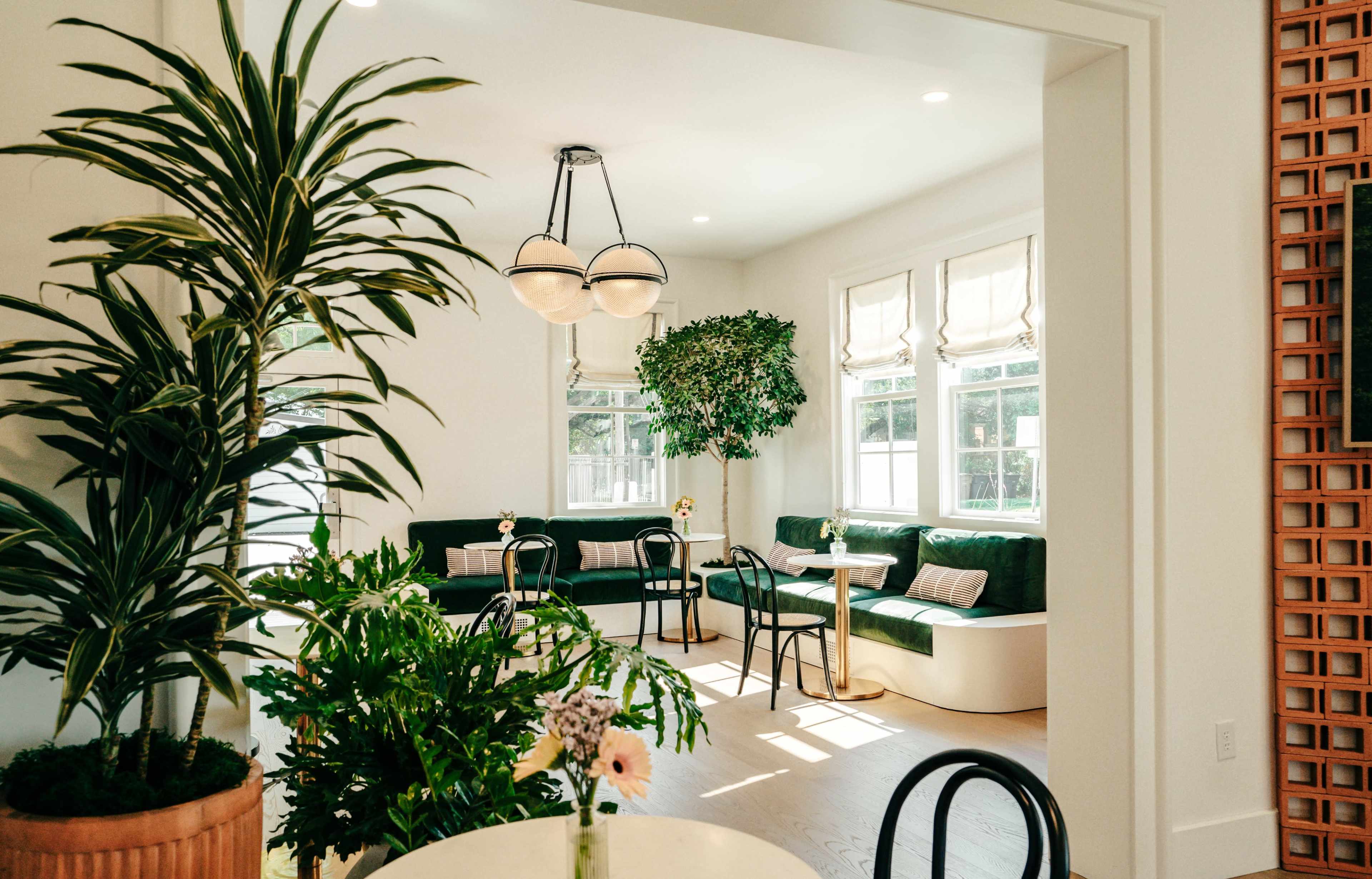 The image depicts a bright interior space featuring green seating, large windows with natural light, and indoor plants.