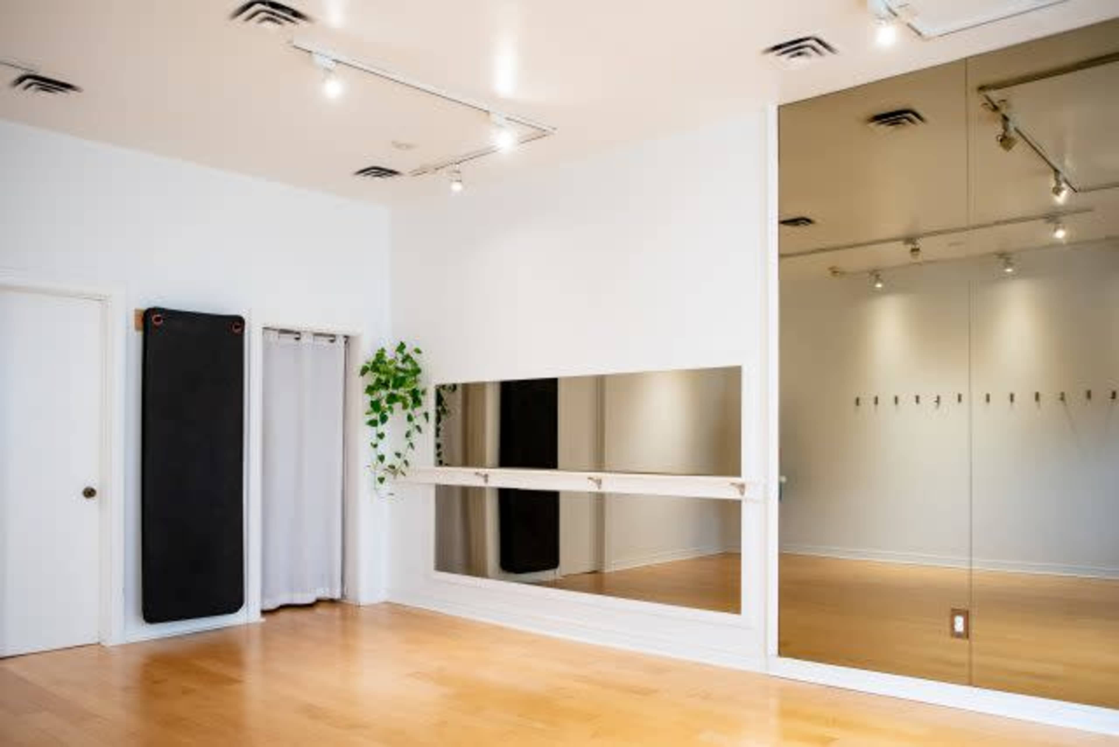 A bright, spacious room with a mirrored wall, a hardwood floor, a potted plant, and exercise equipment against one wall.