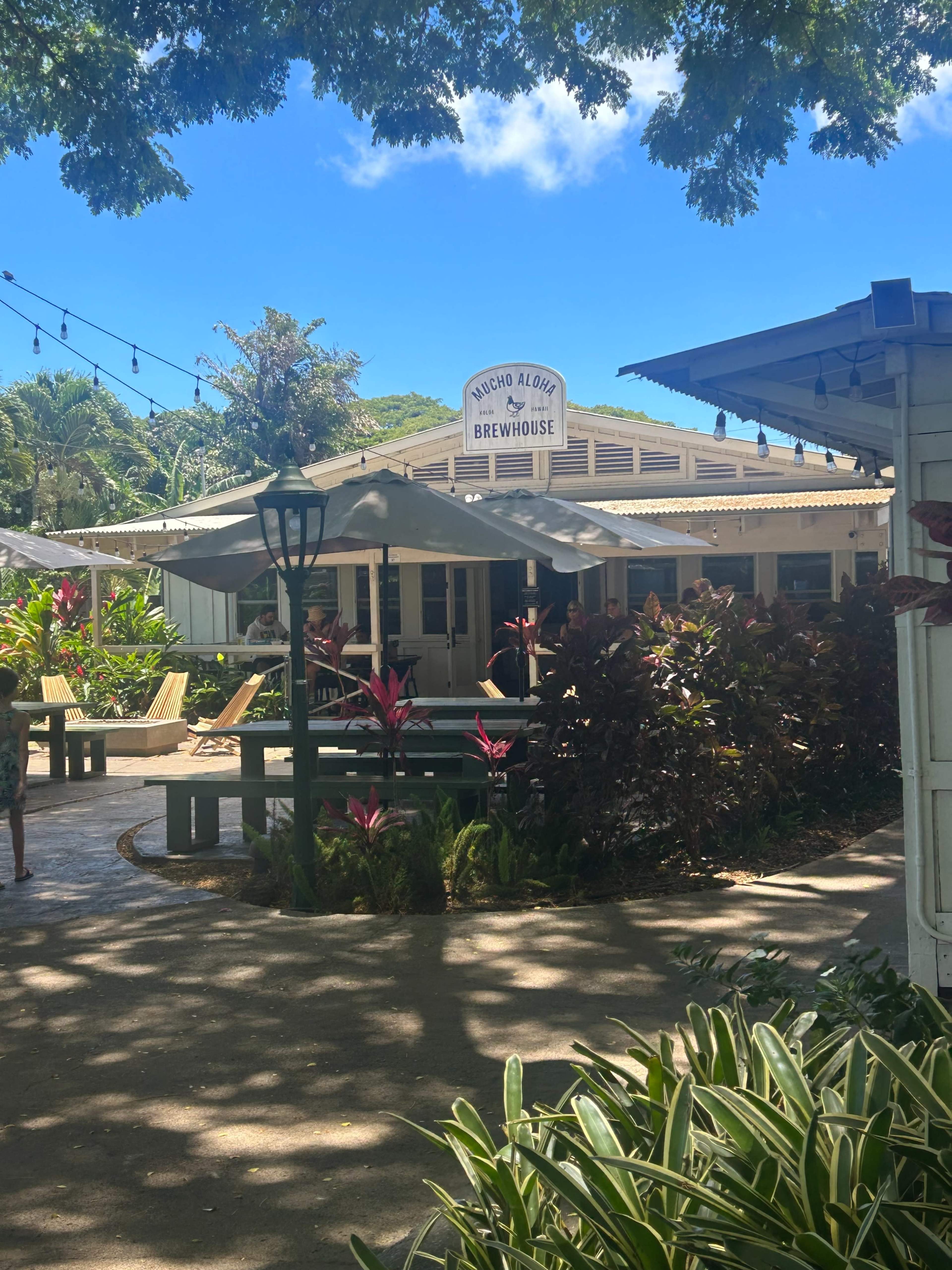The image shows a tropical outdoor dining area with tables under umbrellas, surrounded by lush greenery and a building marked as "Rancho Aloha Brew House."