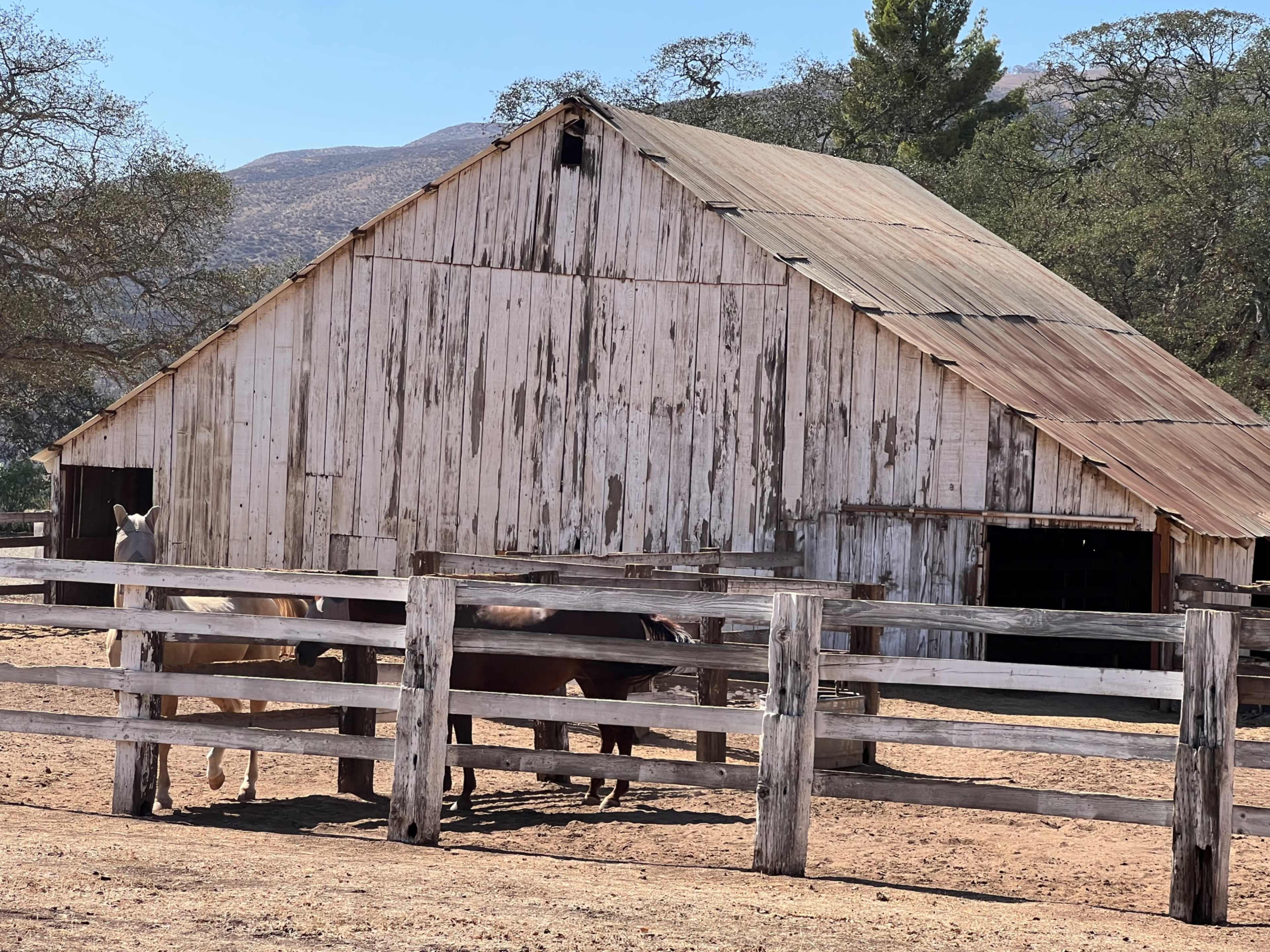 A weathered barn stands next to a wooden fence with several horses partially visible in a dusty pasture.