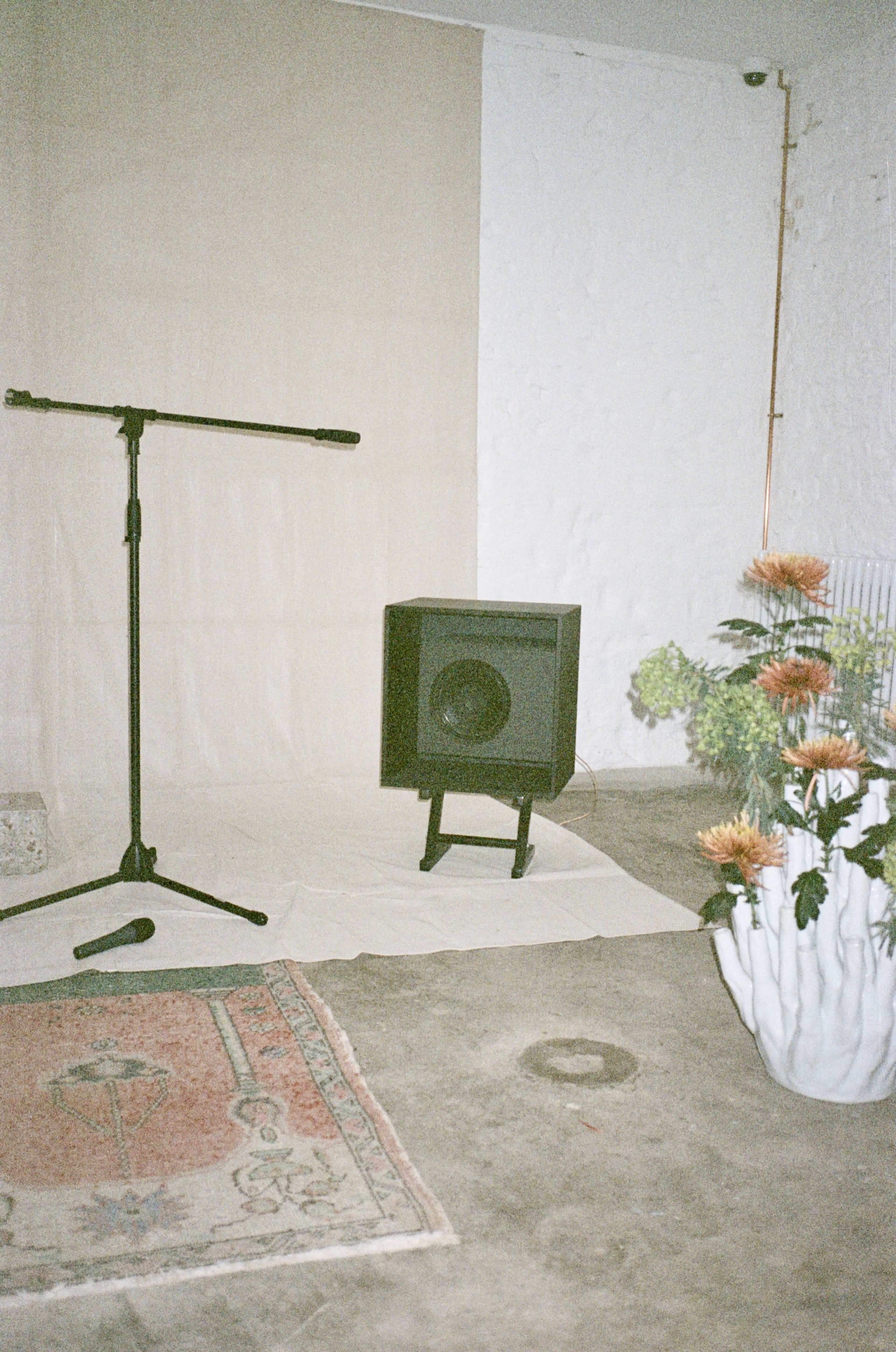 The image shows a microphone on a stand next to a speaker and a potted plant in a minimalistic indoor space.