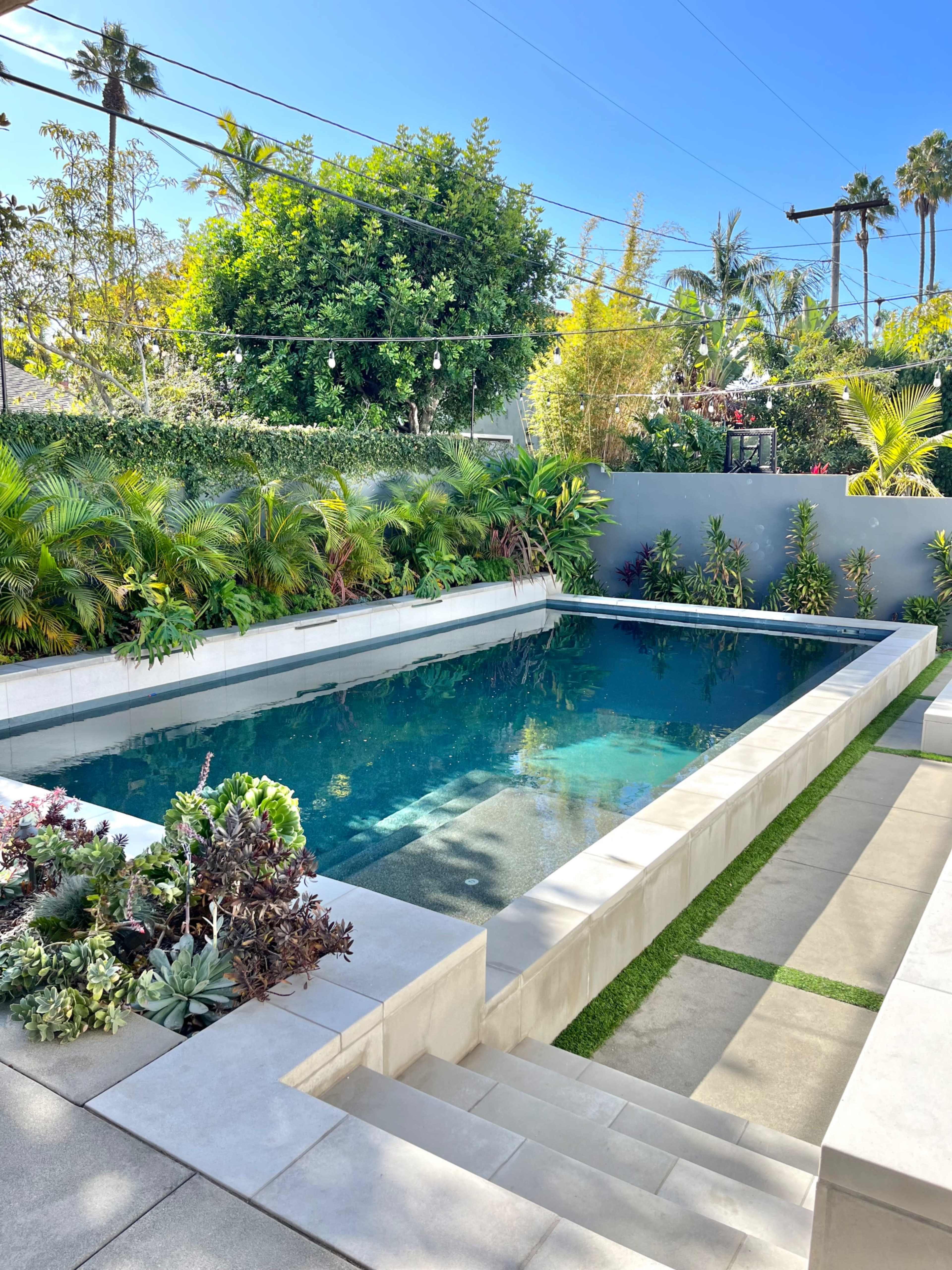 The scene shows a modern rectangular swimming pool surrounded by lush greenery and landscaped plants, with stone steps leading down to the water's edge.