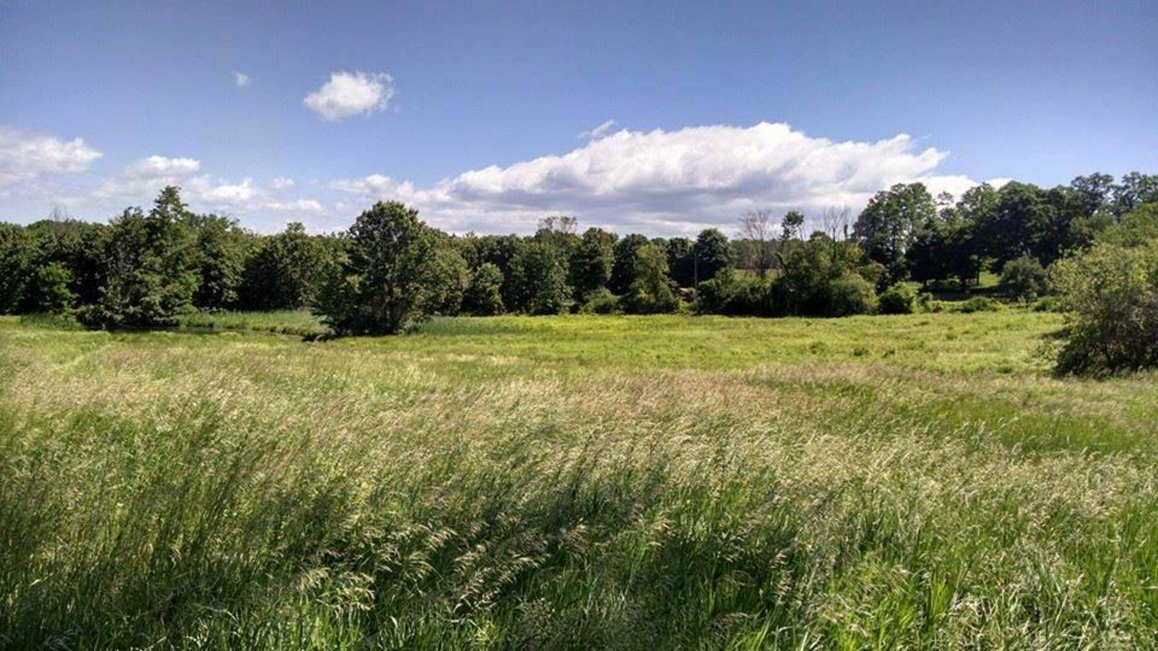 A grassy field stretches out under a blue sky dotted with clouds, surrounded by trees and distant hills.