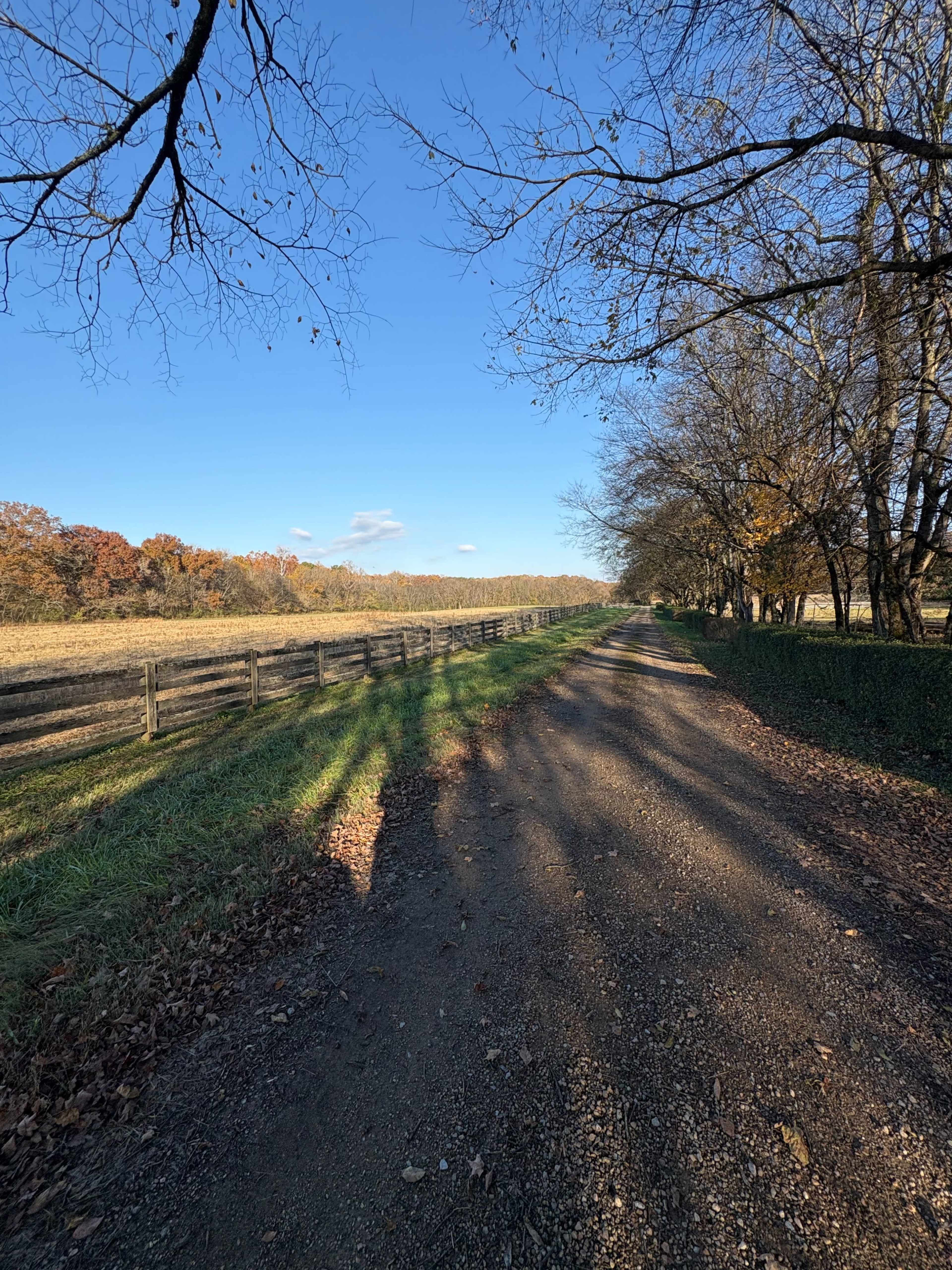 100 Acre Family Farm Along the Little River Image in , Maryville, TN