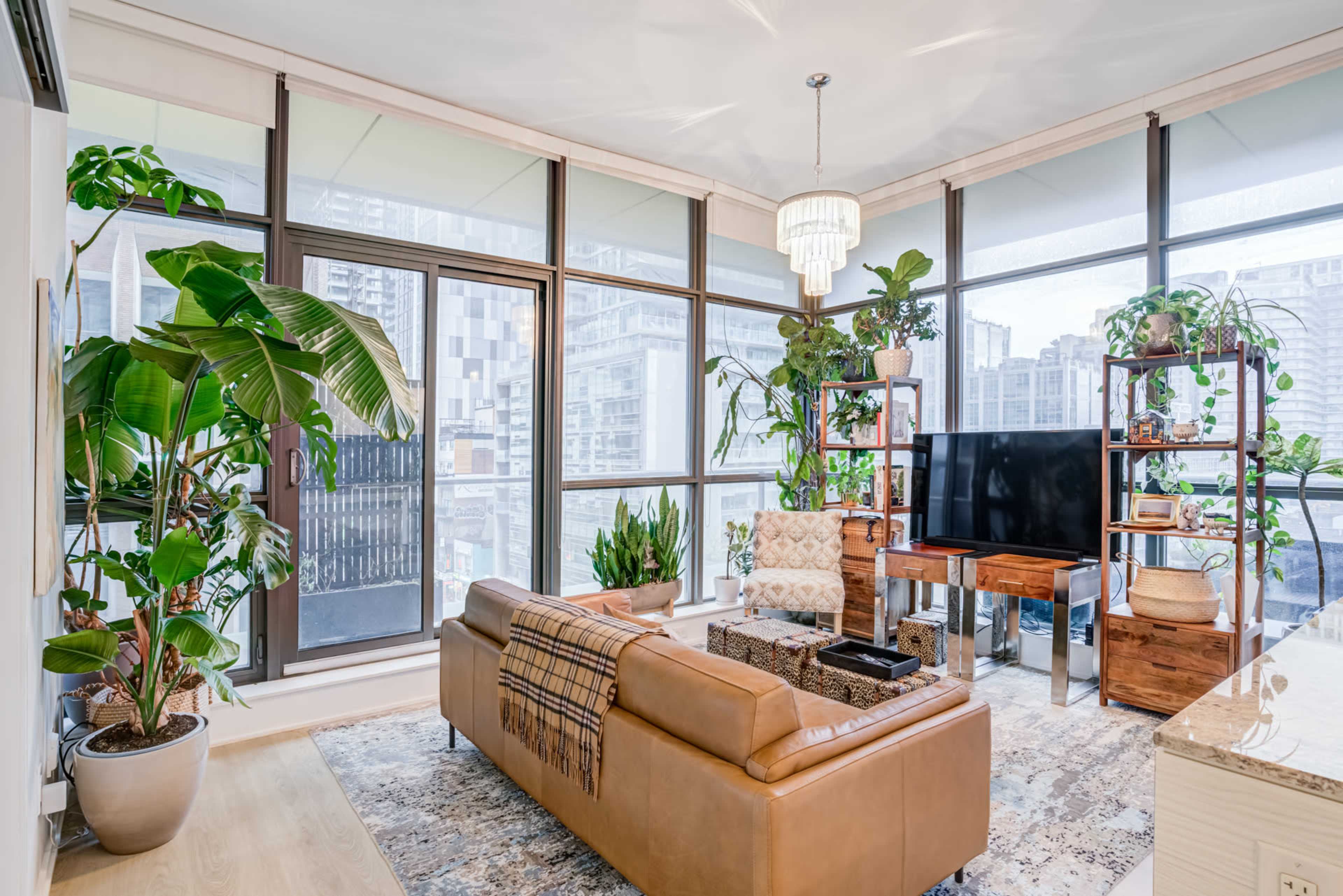 The image shows a modern living room with large windows, a brown leather couch, a television, and various indoor plants arranged around the space.