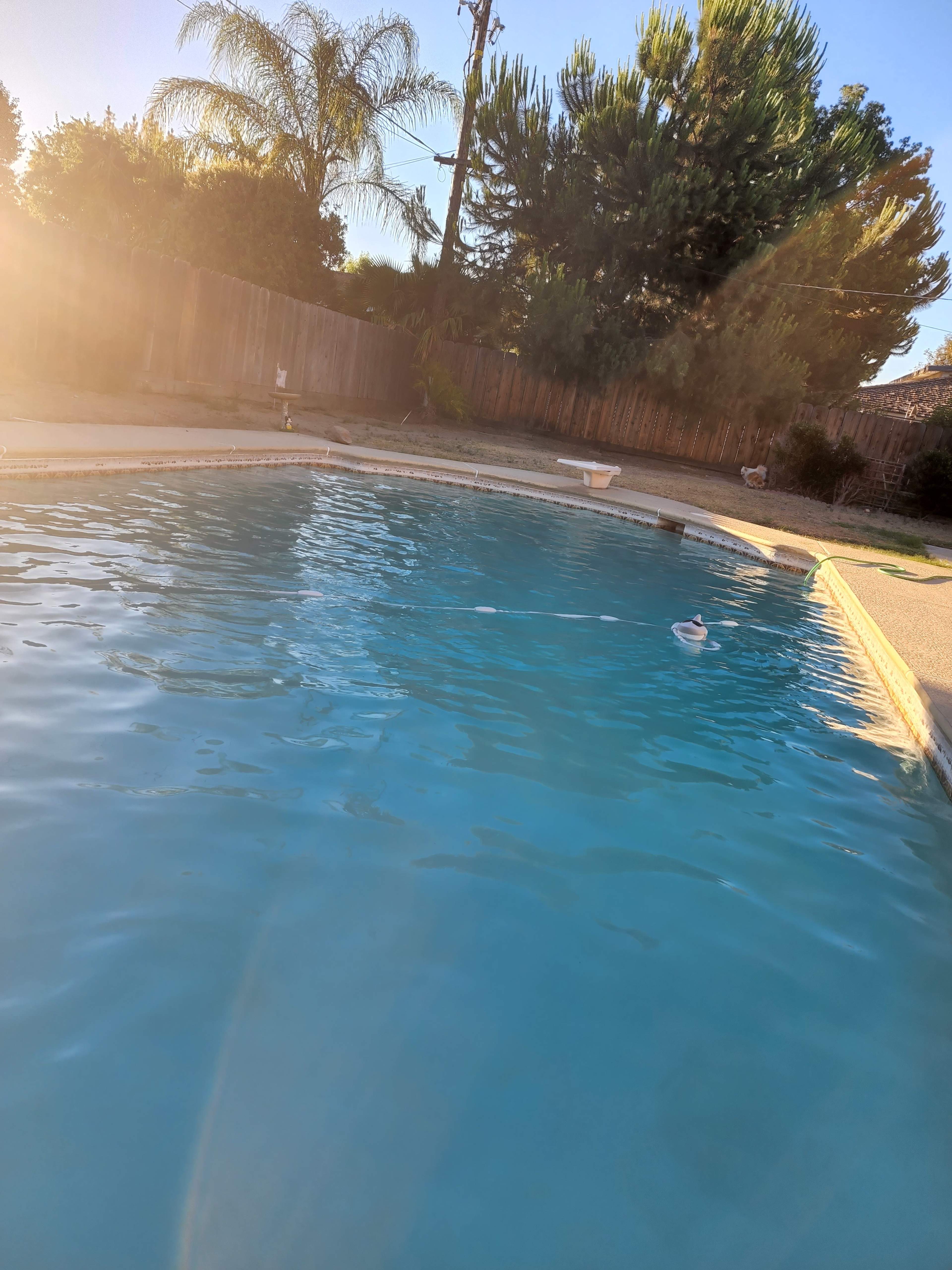 A swimming pool surrounded by trees and a wooden fence, with sunlight reflecting on the water's surface.