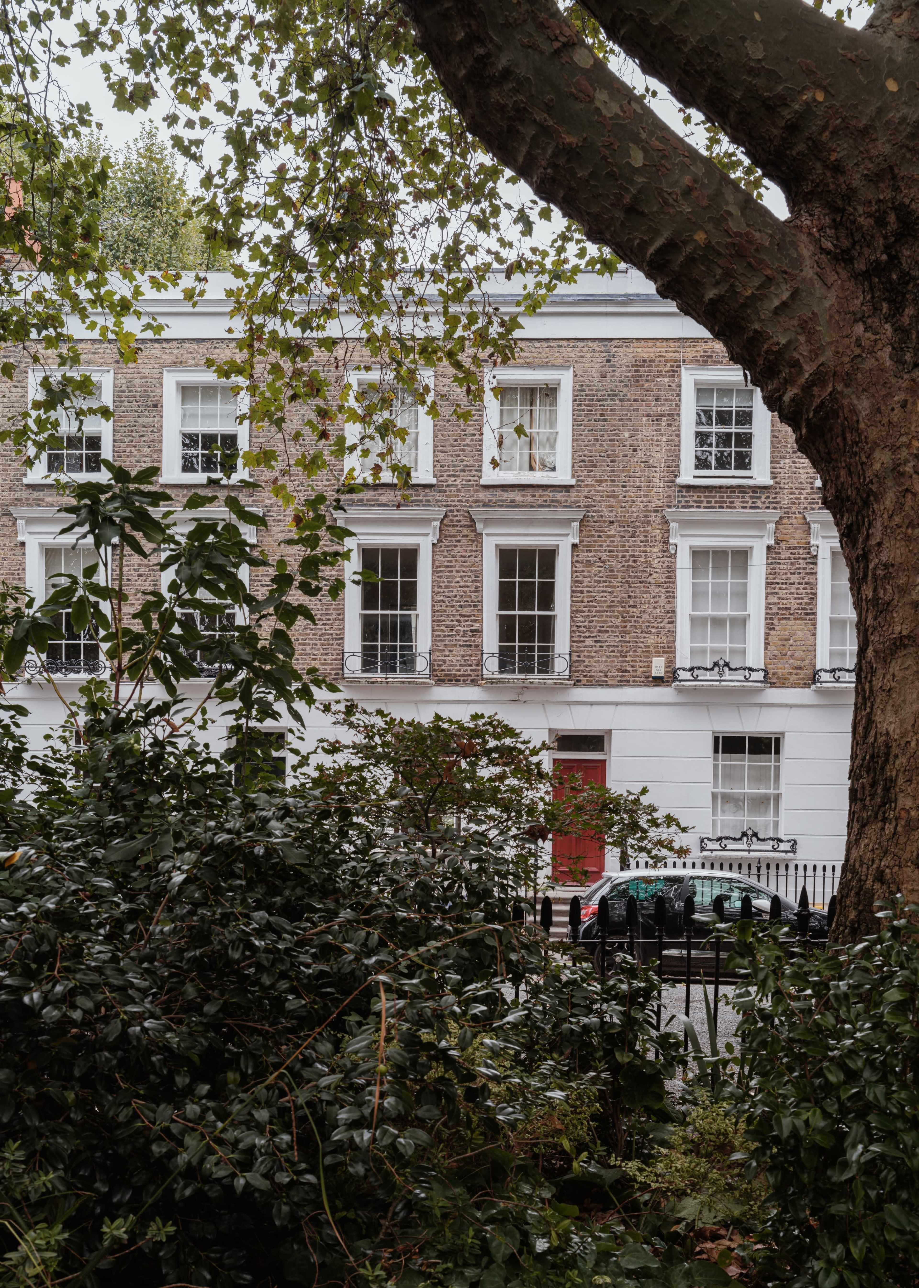 A brick building with white windows and a red door is partially visible through leafy greenery and shadows.