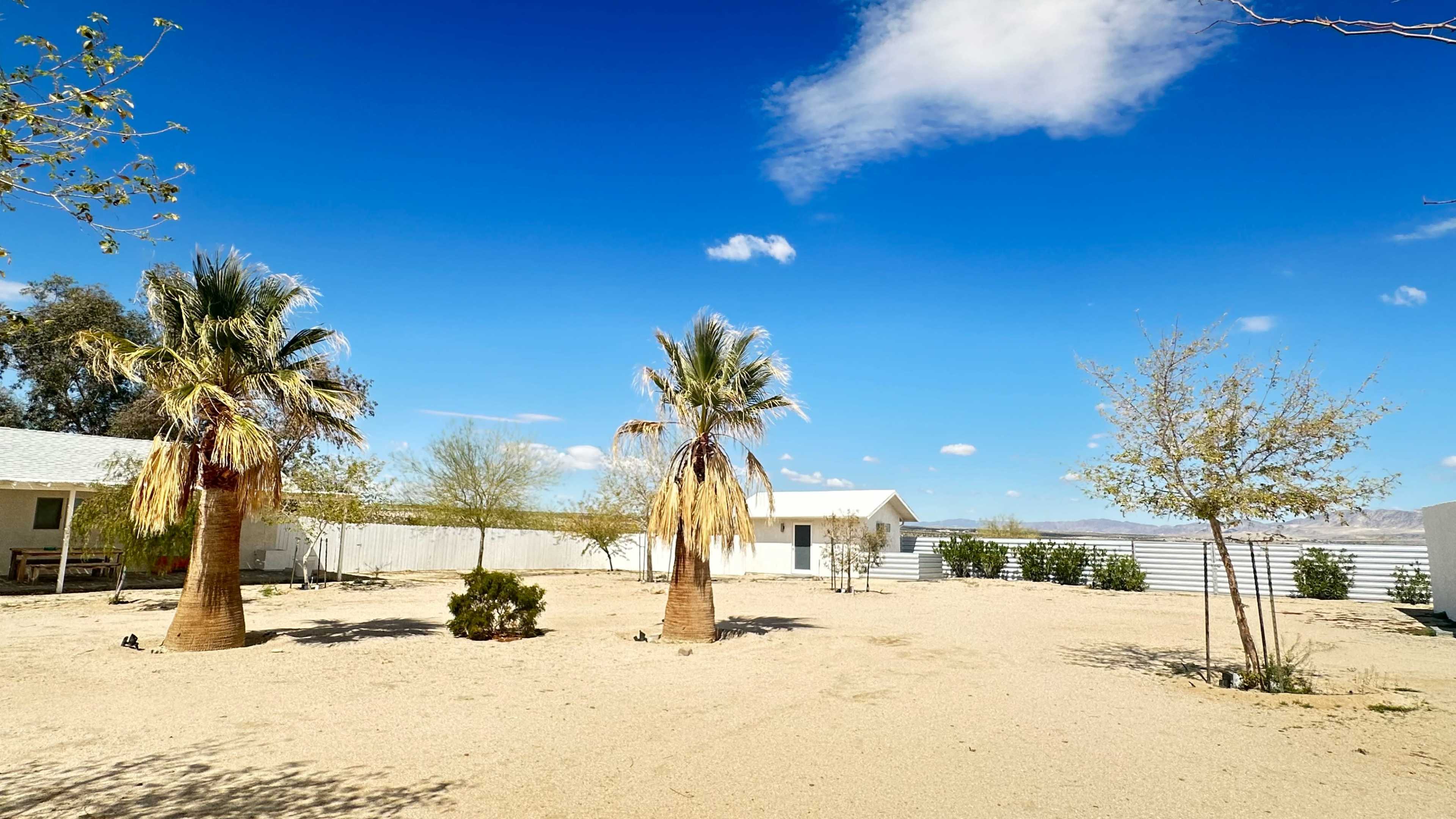 A desert landscape with two tall palm trees and a simple white building in the background under a blue sky with scattered clouds.