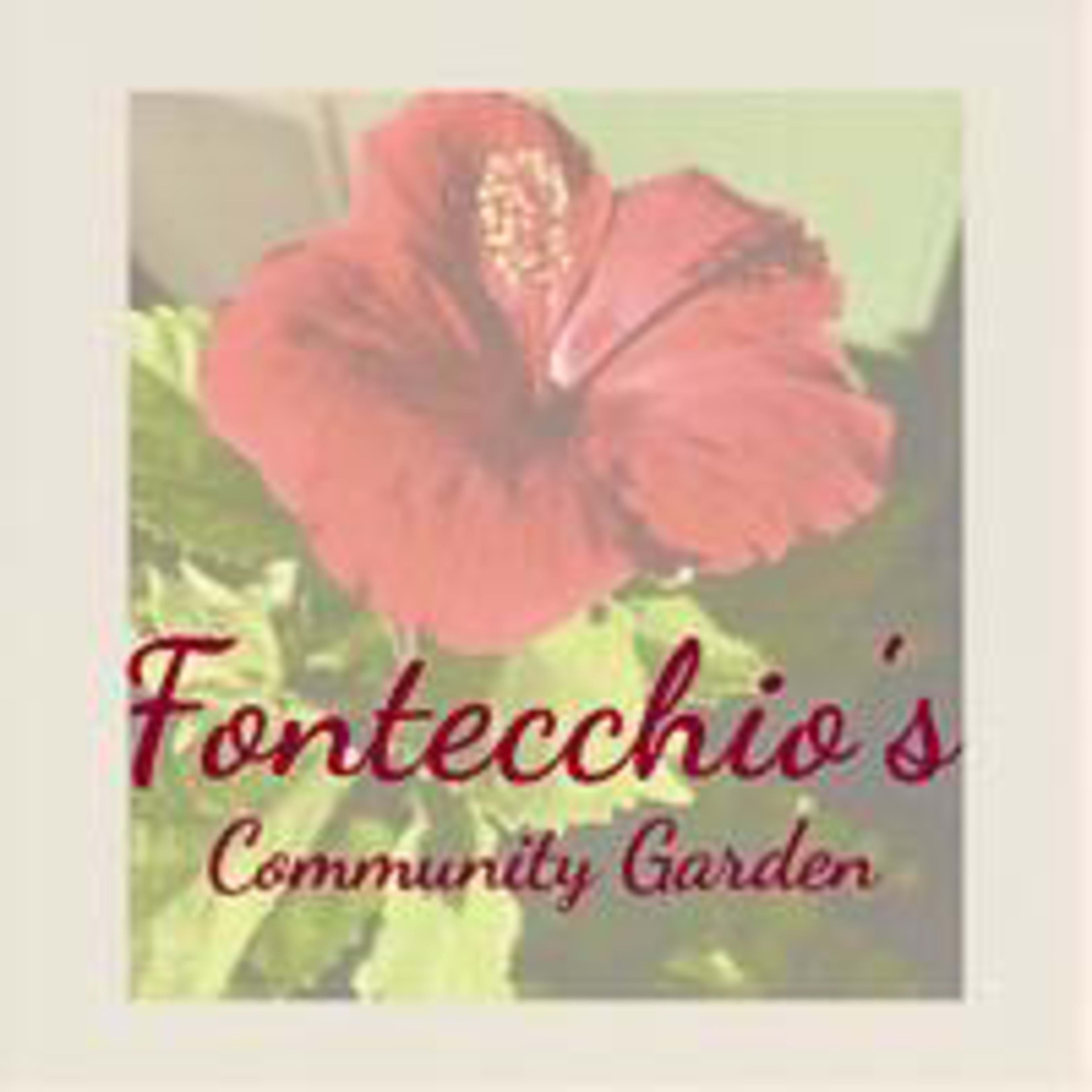 A vibrant red hibiscus flower is in the foreground, with the text "Fontecchio's Community Garden" overlaying the image.