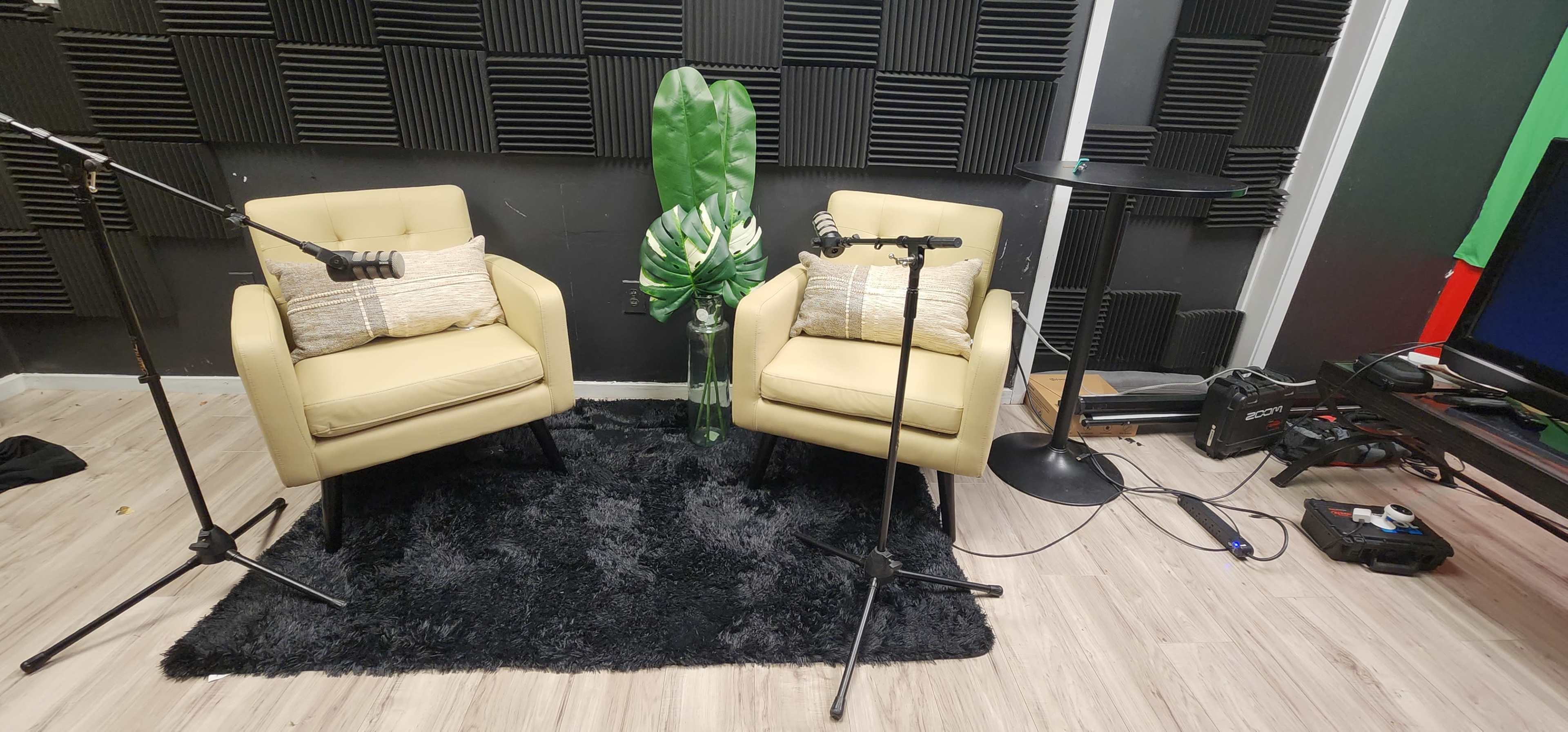 The image shows a podcast recording setup featuring two beige chairs with microphones placed in front, a tall green plant in a vase between them, and a black table nearby on a dark rug.