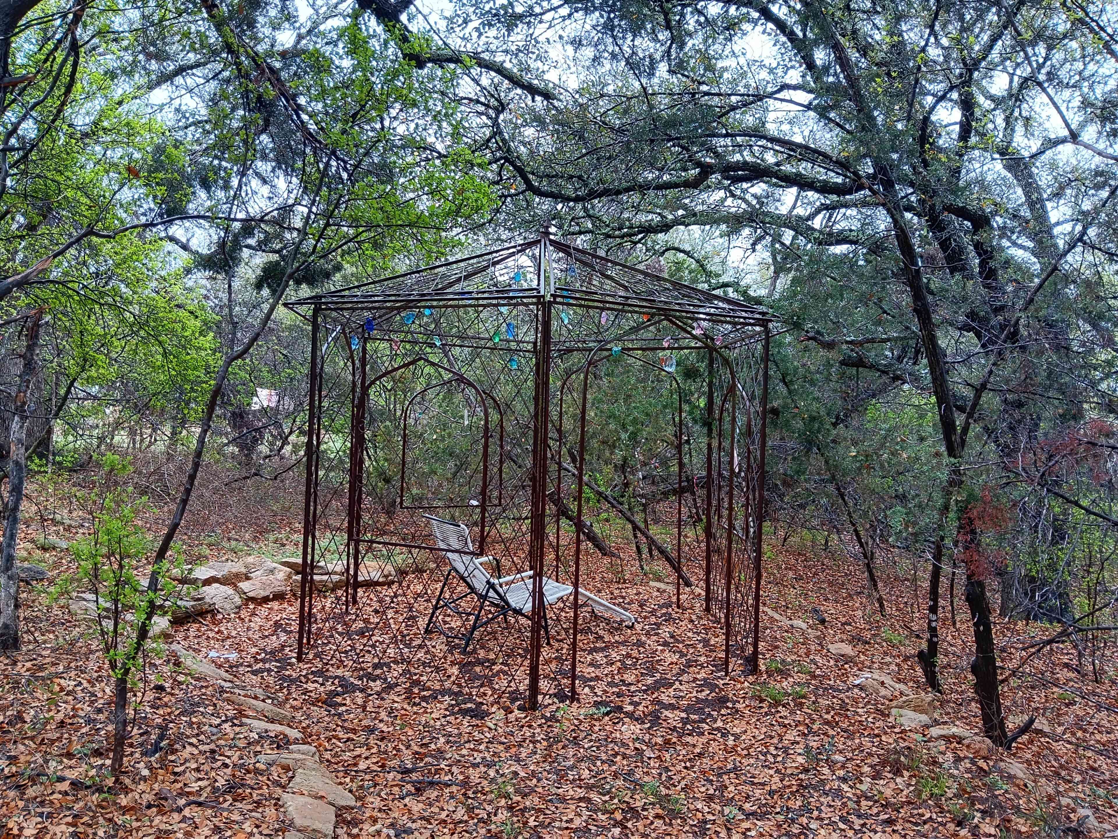 A metal gazebo frame sits in a forested area covered with fallen leaves and surrounded by trees.