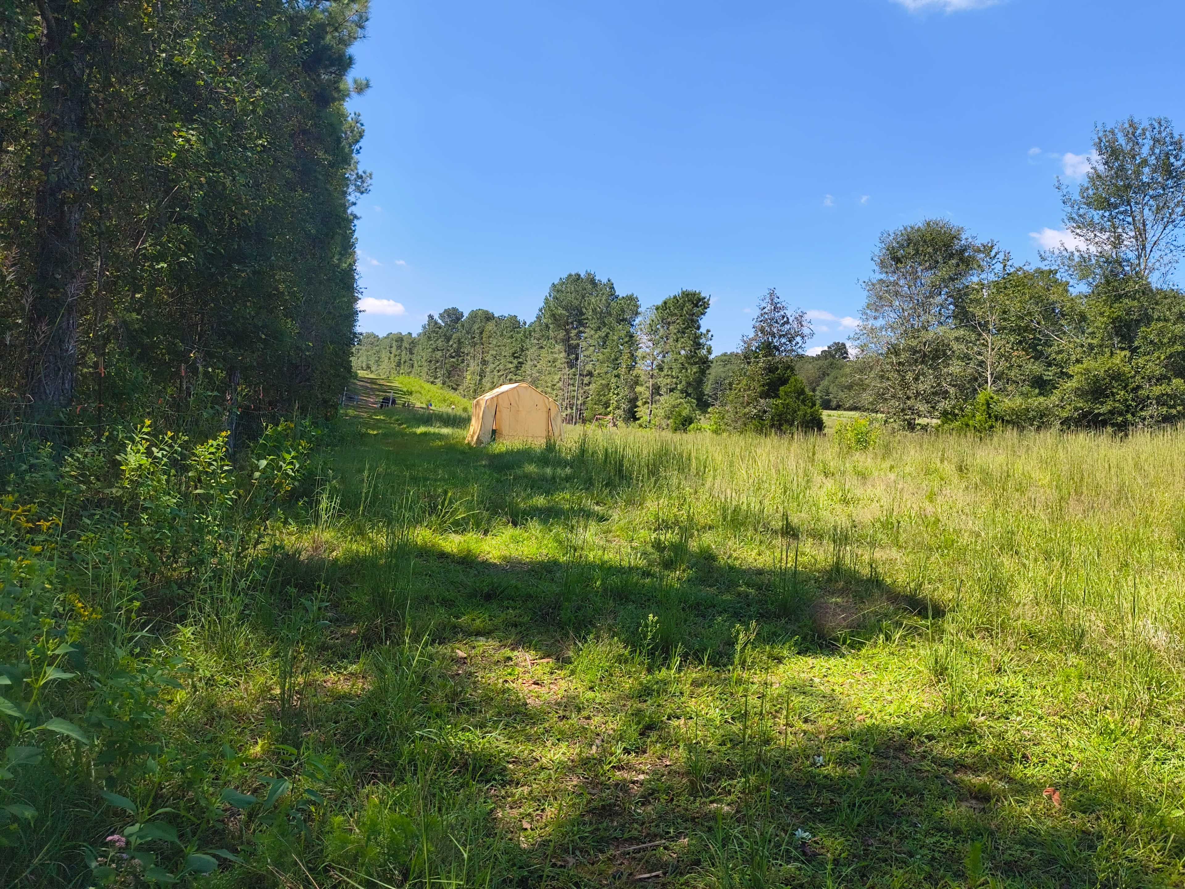 Broad River Property Image in , Comer, GA