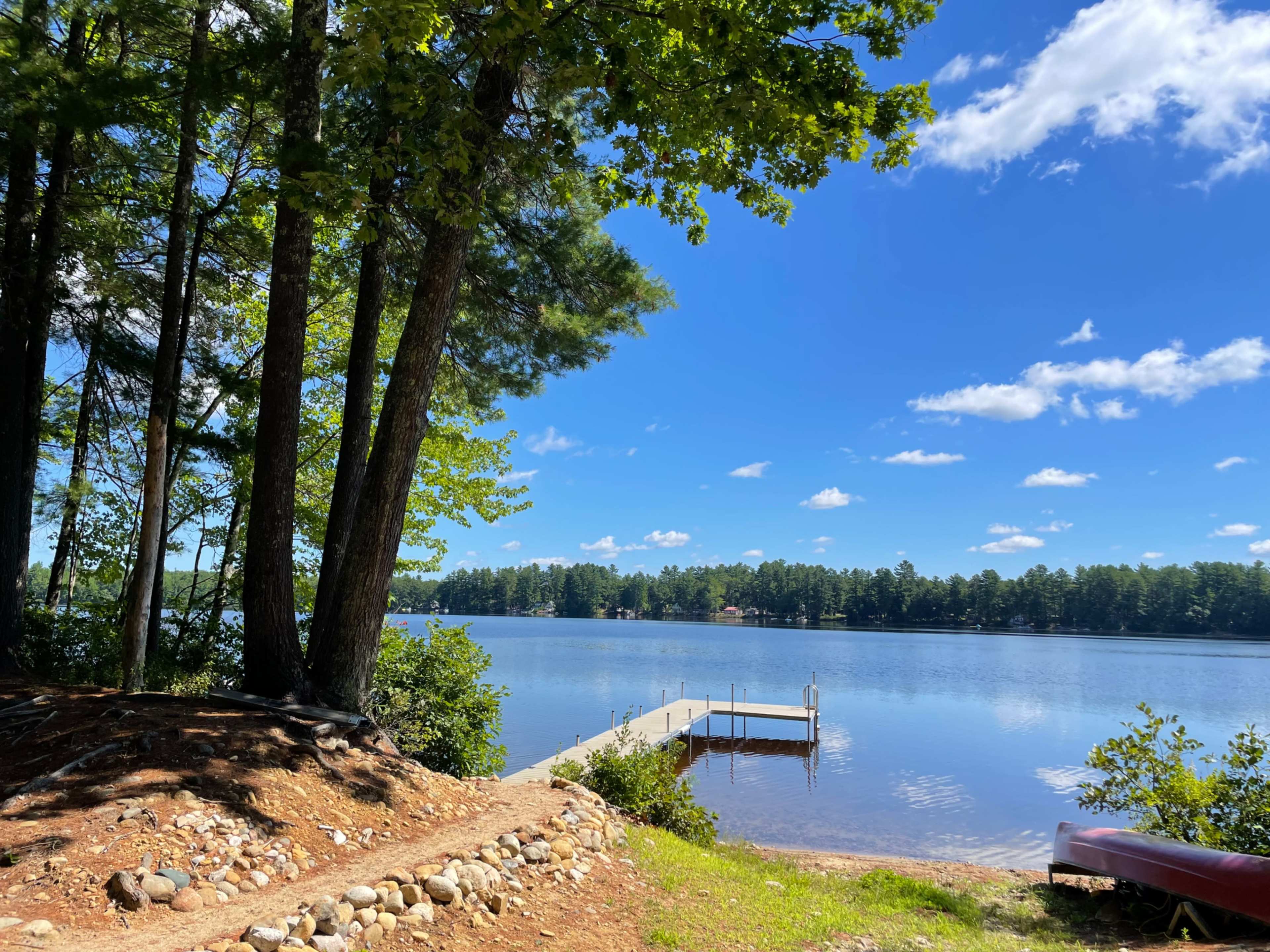 A calm lake with a wooden dock is surrounded by trees and a clear blue sky.