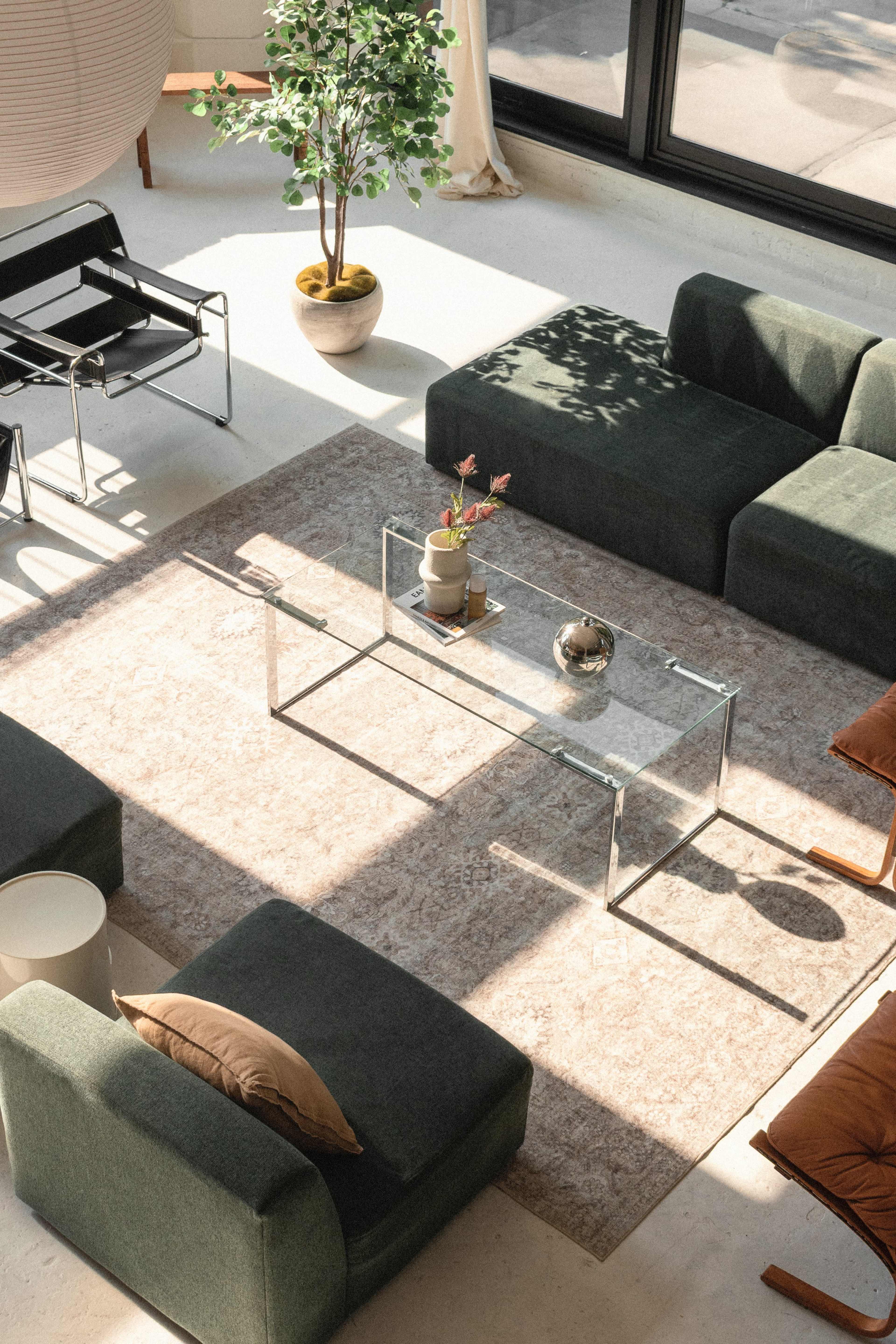 The scene features a modern living room with green sofas, a glass coffee table, a small potted plant, and sunlight casting shadows on a light-colored rug.