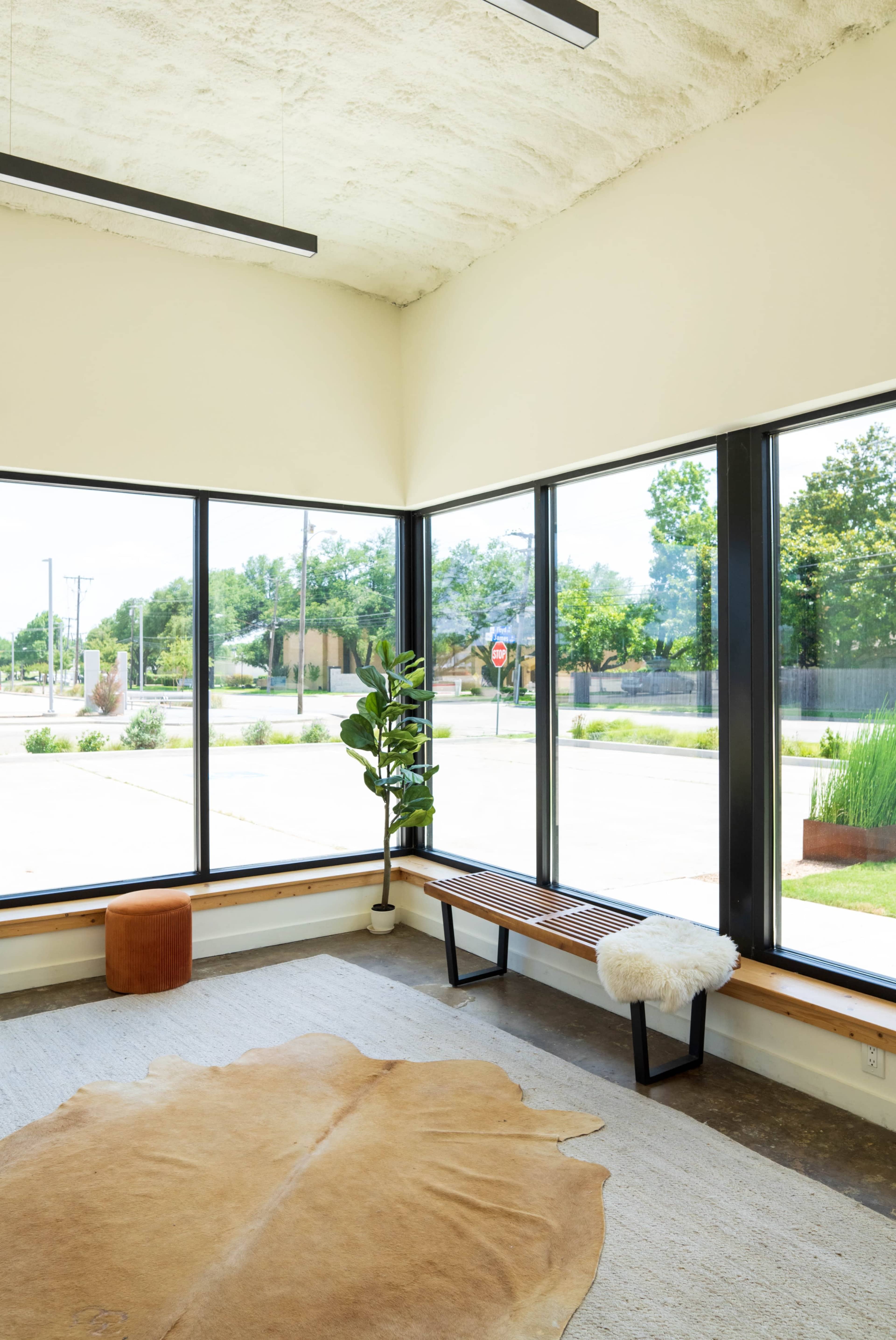 A spacious room with large windows, a wooden bench, and a decorative plant is illuminated by natural light.