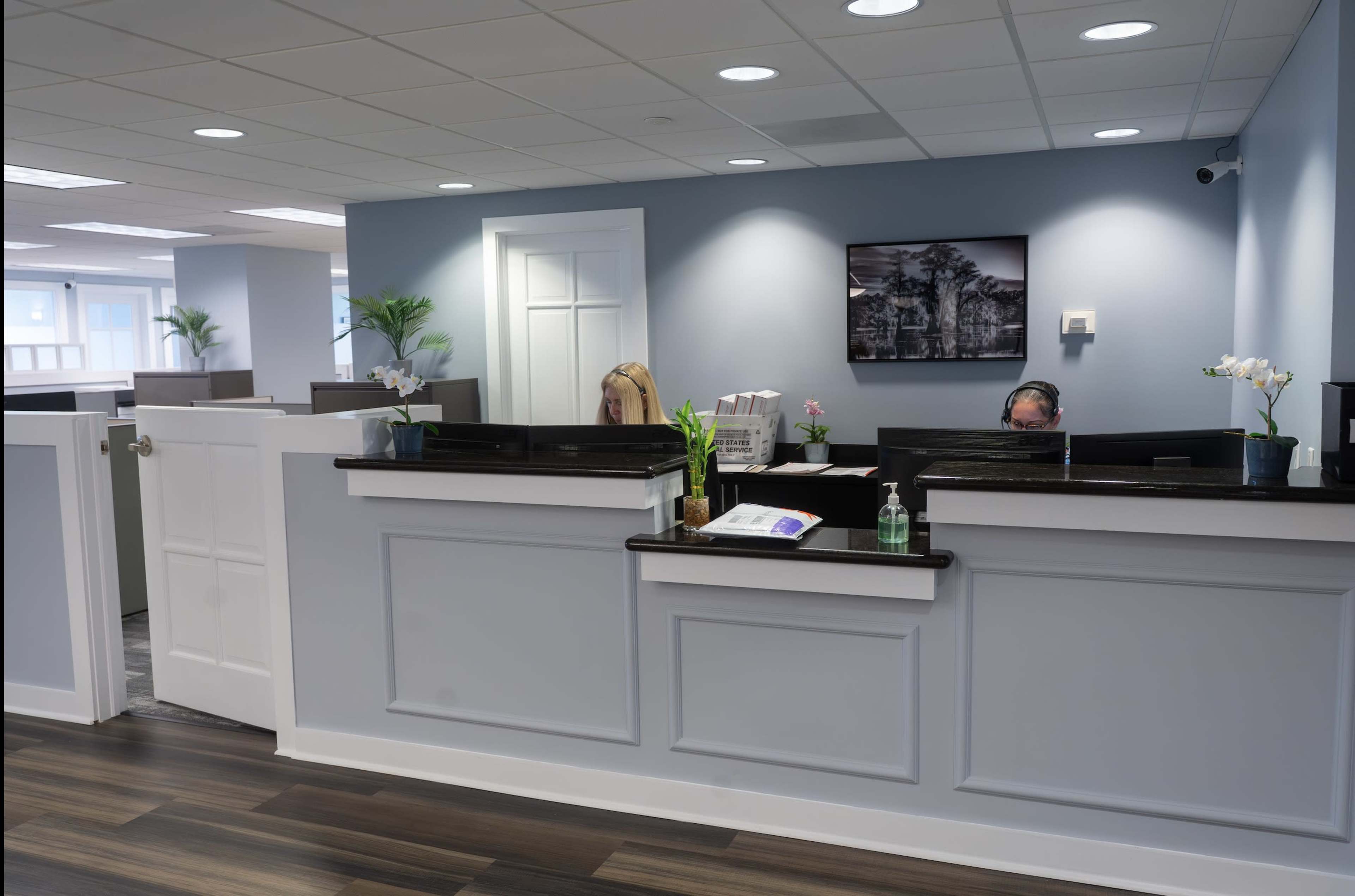 The image shows a modern office reception area with two desks, plants, and a photograph on the wall.