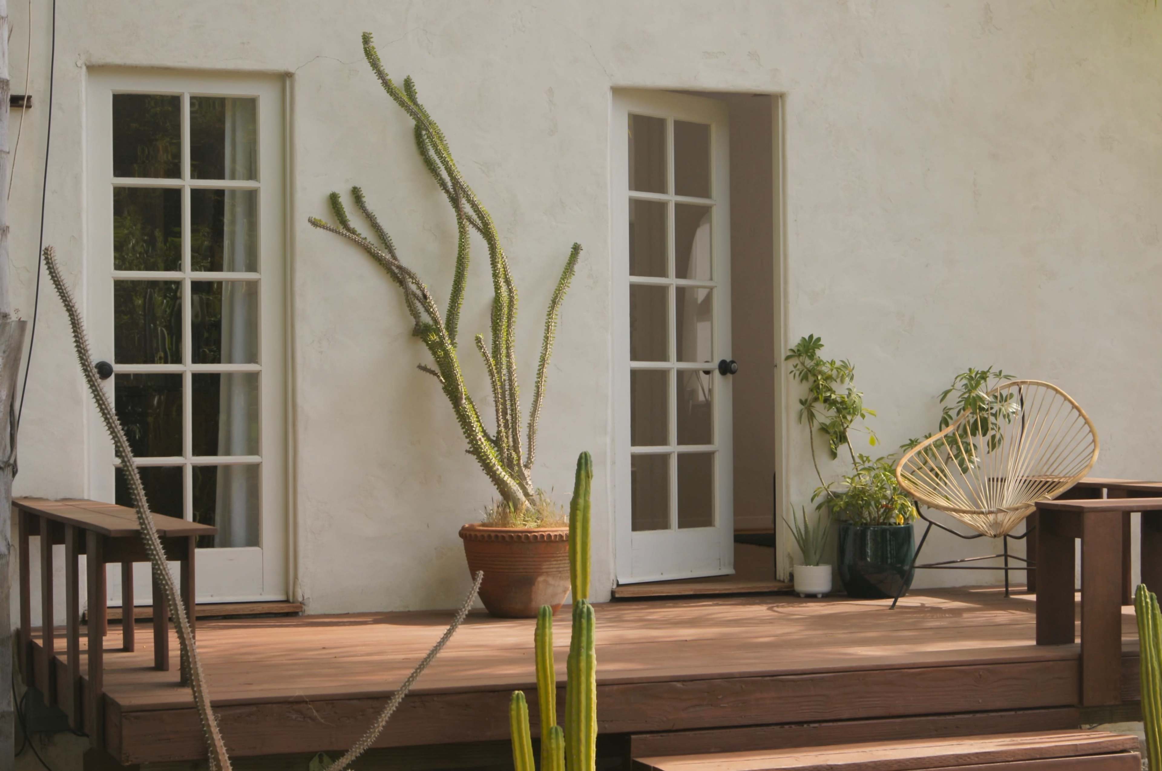 The image shows a wooden deck with two French doors, a large cactus in a pot, and a woven chair next to potted plants against a white wall.