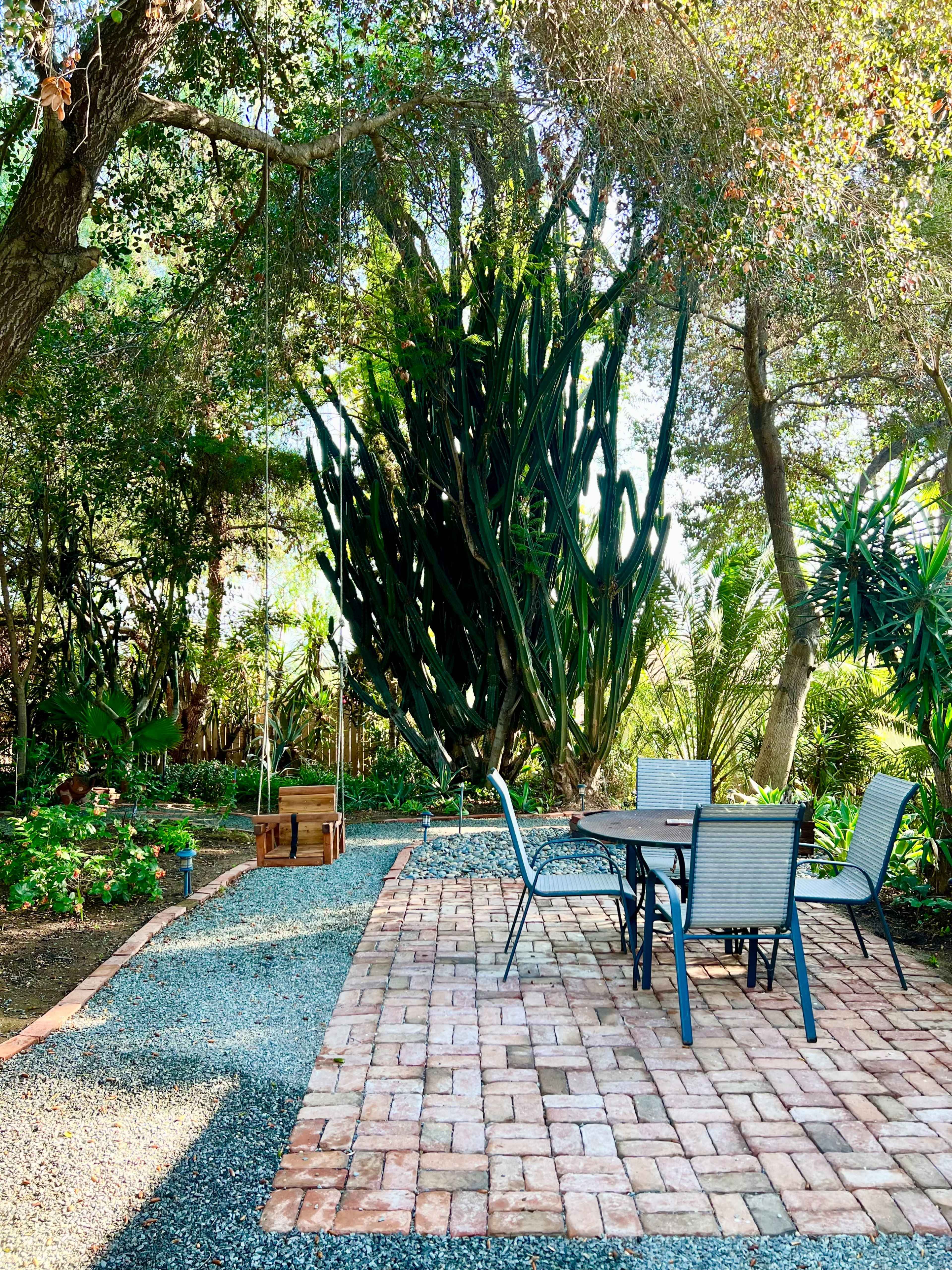 A brick patio with a table and chairs is surrounded by greenery and a tall cactus under a canopy of trees.