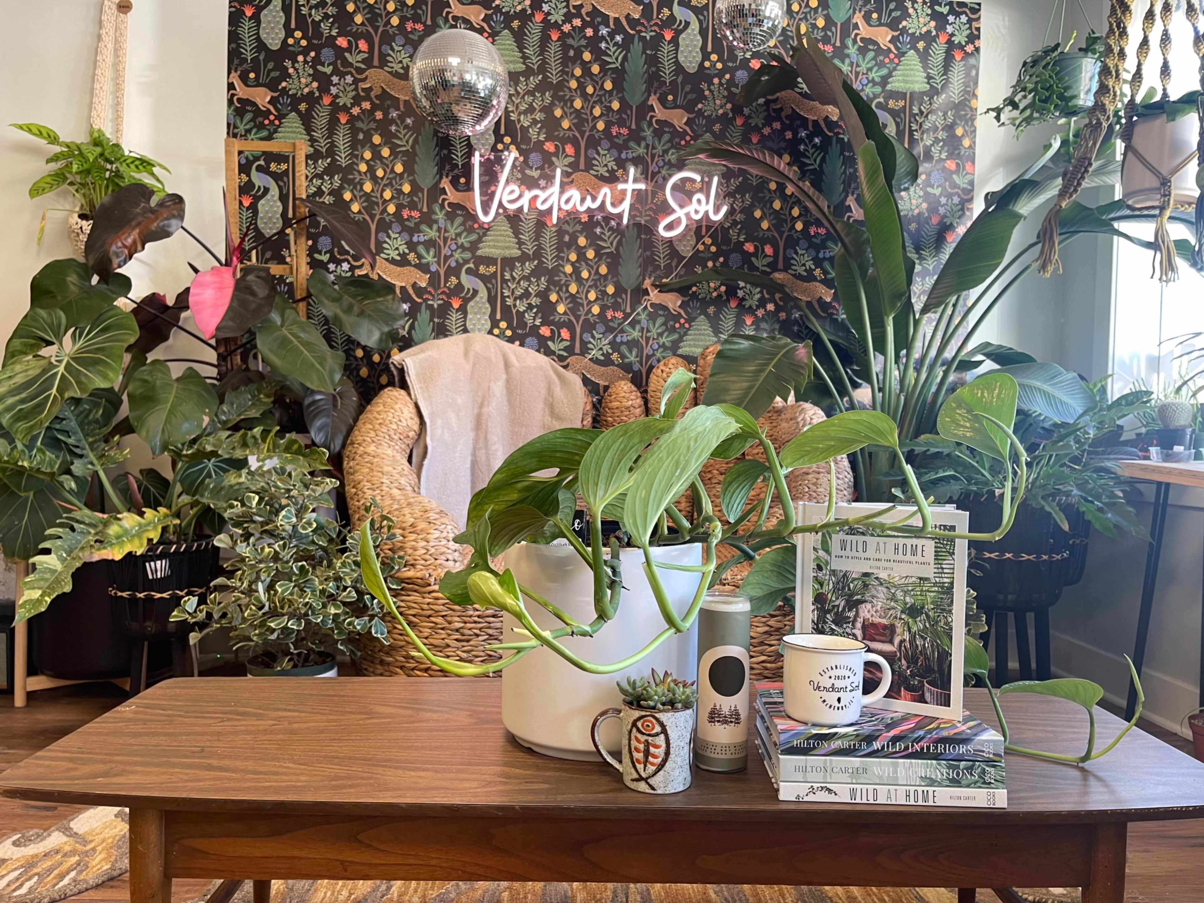 Trendy Boho Plant Shop for Photography Film, McHenry, IL